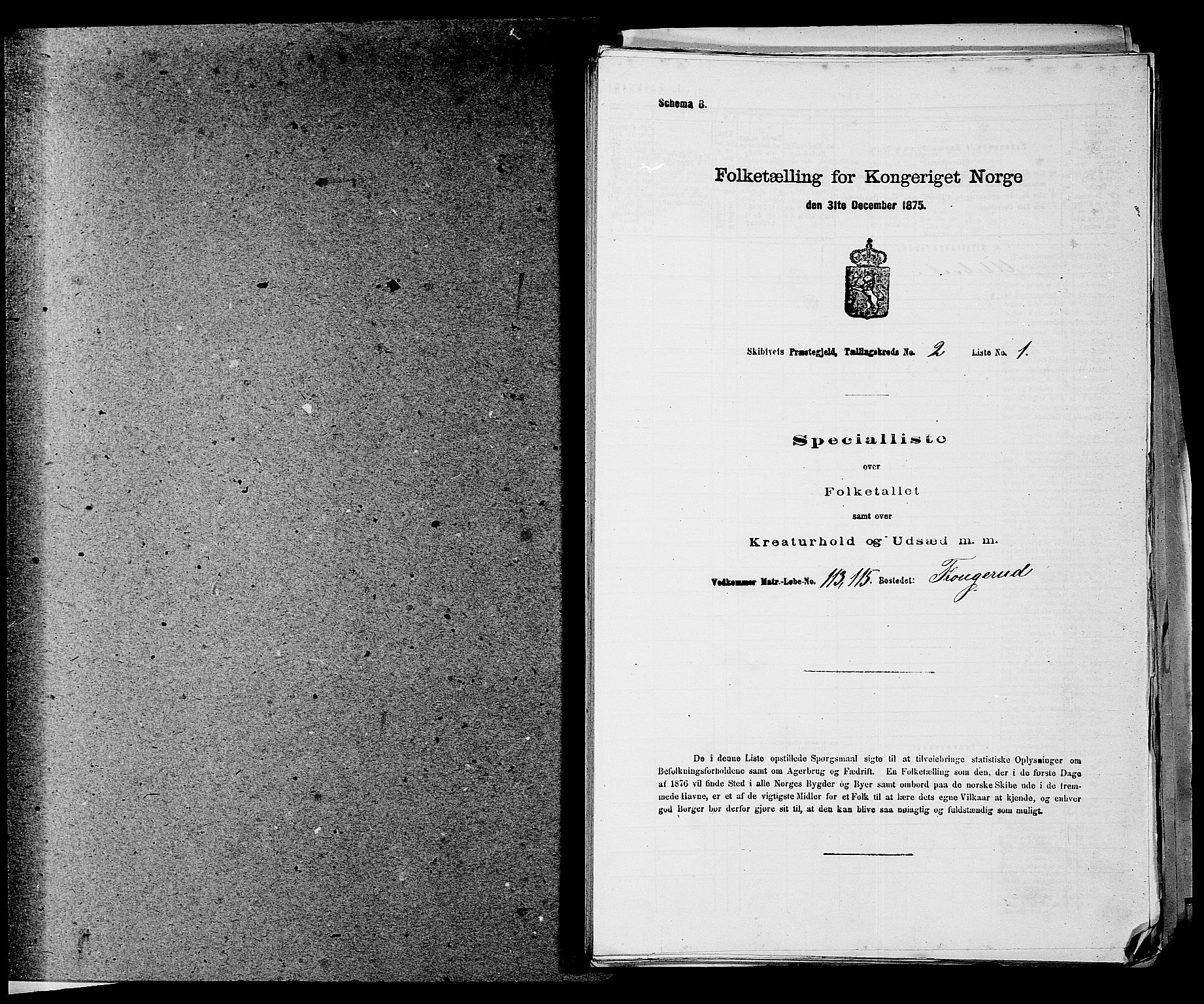 RA, 1875 census for 0127P Skiptvet, 1875, p. 208