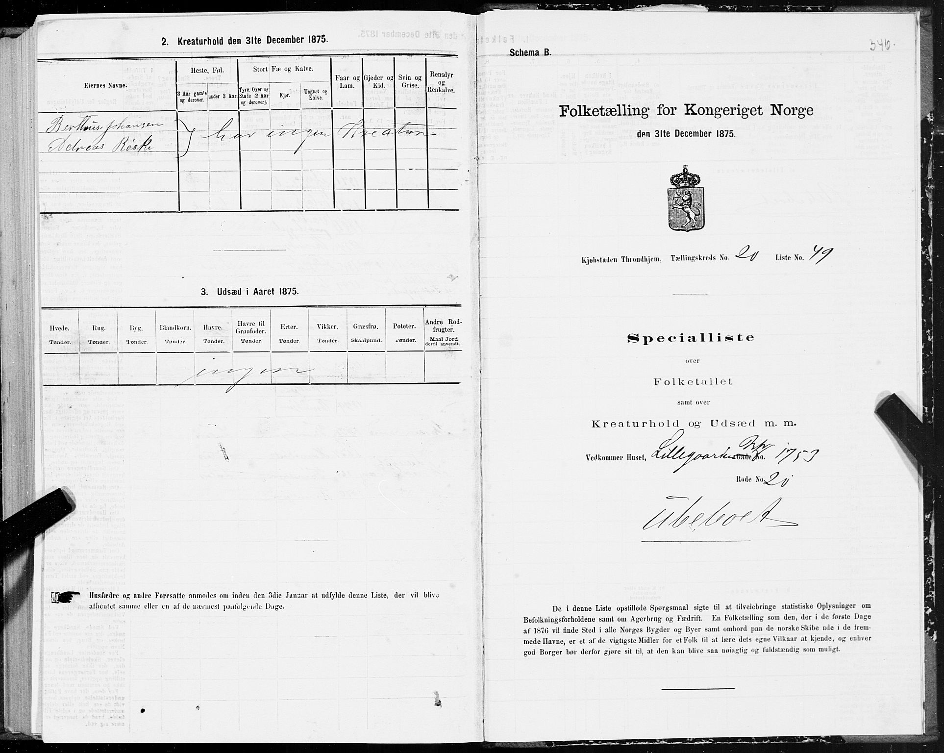 SAT, 1875 census for 1601 Trondheim, 1875, p. 10346