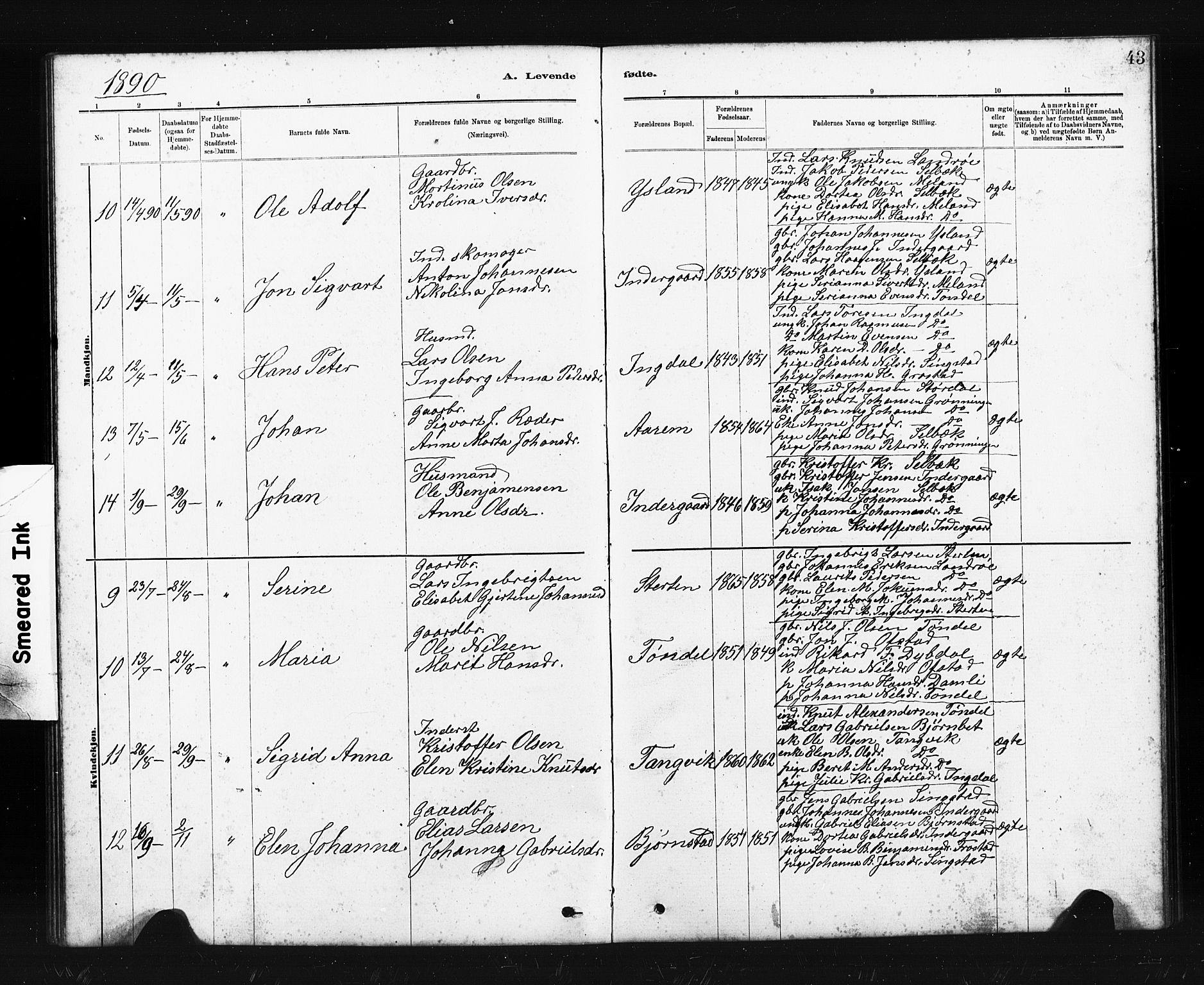 Ministerialprotokoller, klokkerbøker og fødselsregistre - Sør-Trøndelag, AV/SAT-A-1456/663/L0761: Parish register (copy) no. 663C01, 1880-1893, p. 43