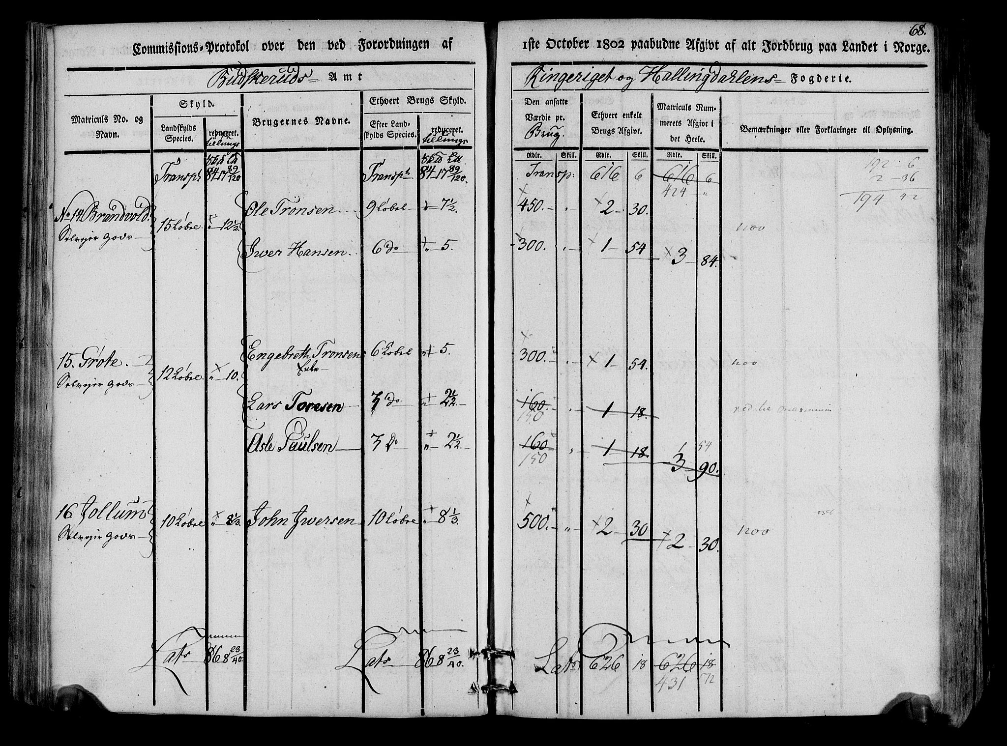 Rentekammeret inntil 1814, Realistisk ordnet avdeling, AV/RA-EA-4070/N/Ne/Nea/L0047: Ringerike og Hallingdal fogderi. Kommisjonsprotokoll for Nes prestegjeld, 1803, p. 71