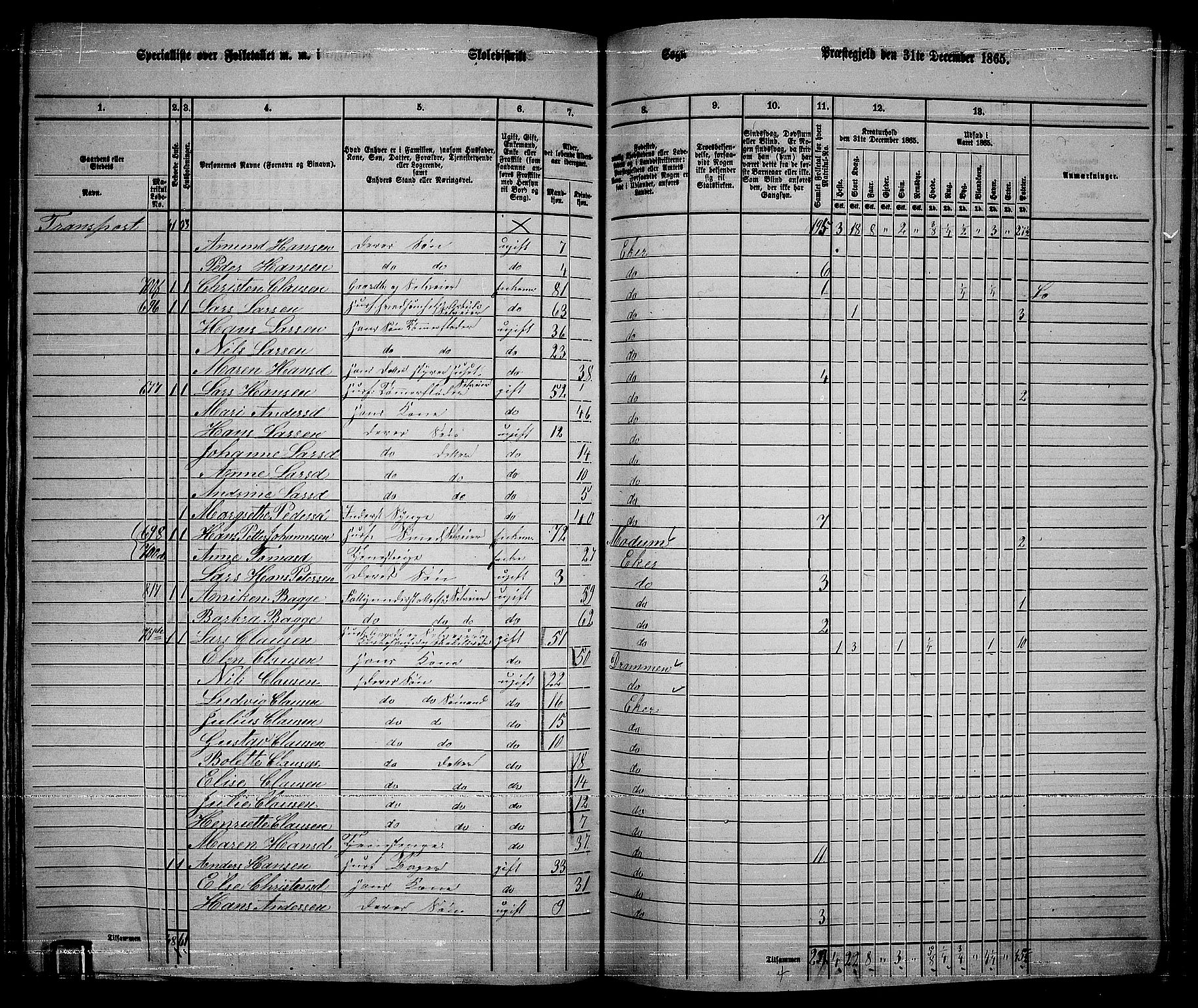 RA, 1865 census for Eiker, 1865, p. 205