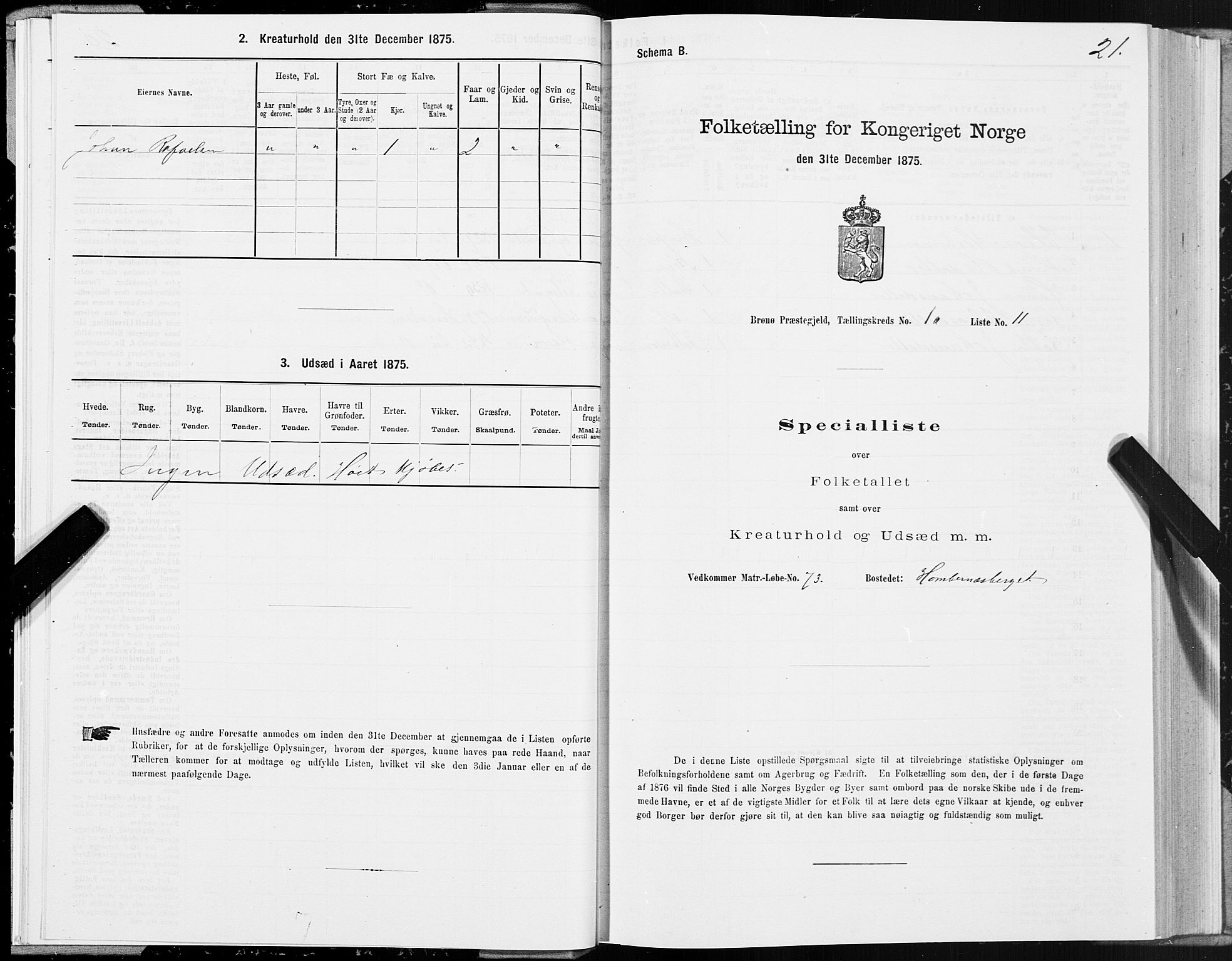 SAT, 1875 census for 1814P Brønnøy, 1875, p. 1021