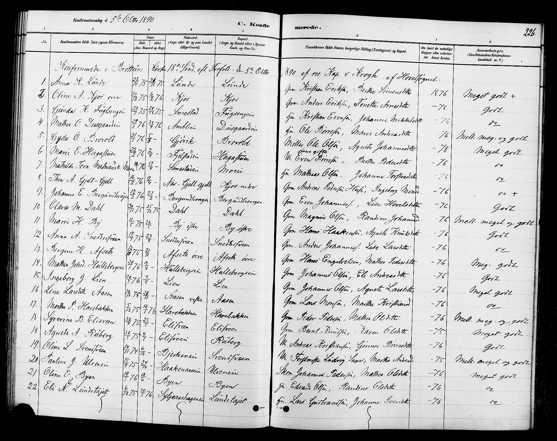 Ringsaker prestekontor, AV/SAH-PREST-014/L/La/L0009: Parish register (copy) no. 9, 1879-1890, p. 226