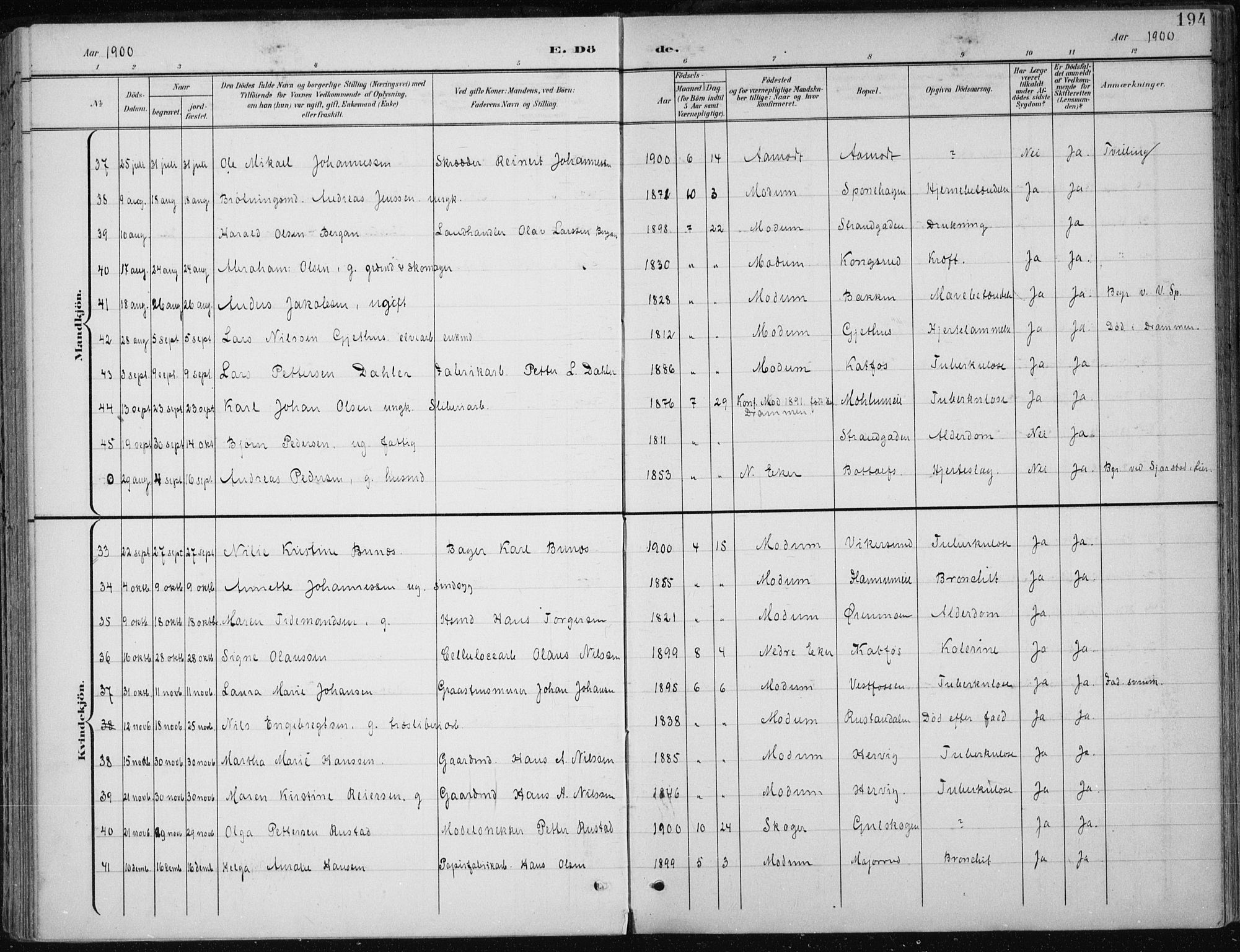 Modum kirkebøker, AV/SAKO-A-234/F/Fa/L0013: Parish register (official) no. 13, 1899-1907, p. 194