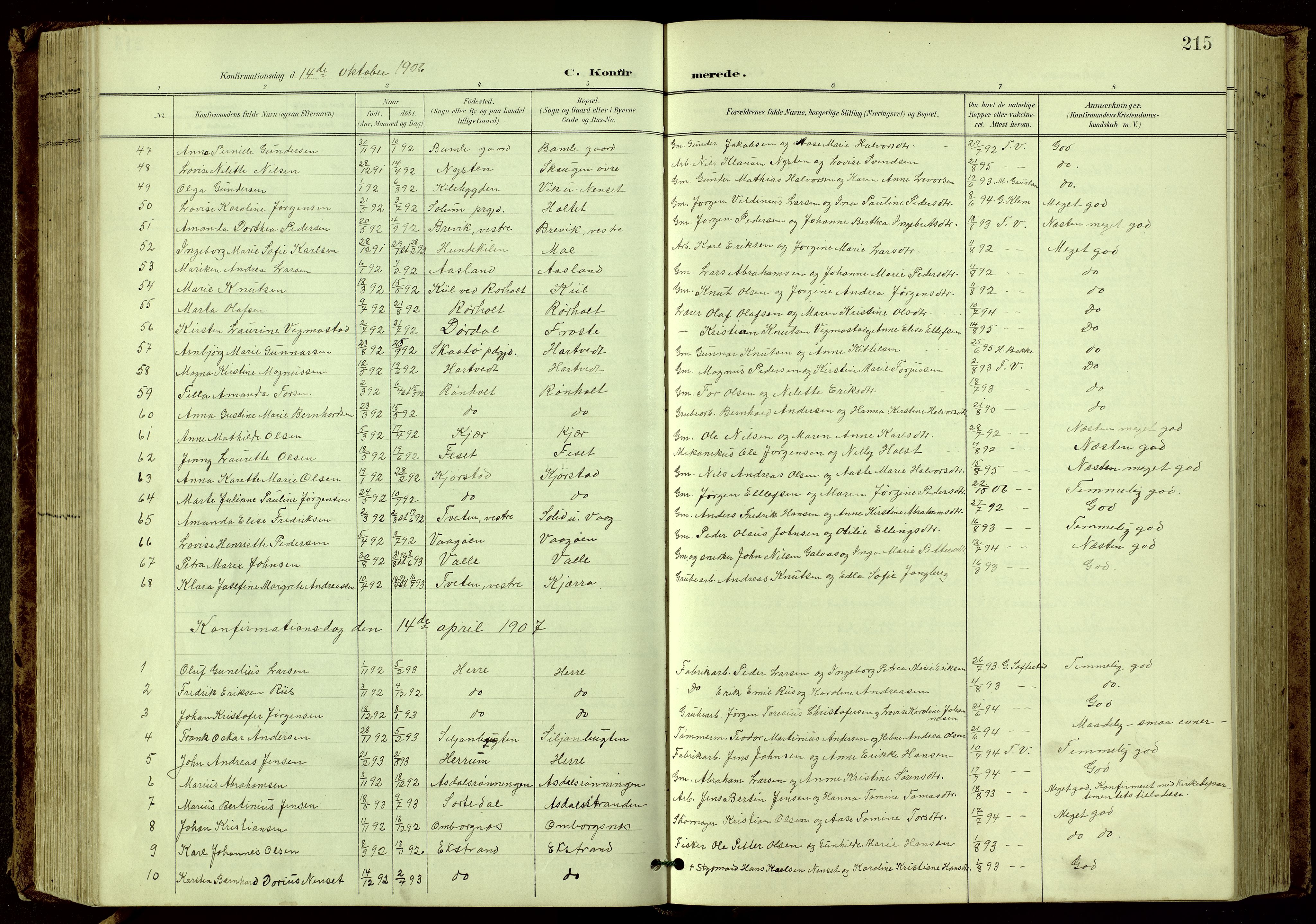 Bamble kirkebøker, SAKO/A-253/G/Ga/L0010: Parish register (copy) no. I 10, 1901-1919, p. 215