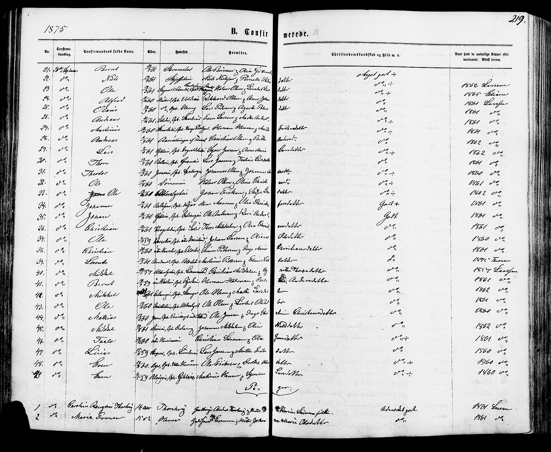 Vang prestekontor, Hedmark, AV/SAH-PREST-008/H/Ha/Haa/L0015: Parish register (official) no. 15, 1871-1885, p. 219