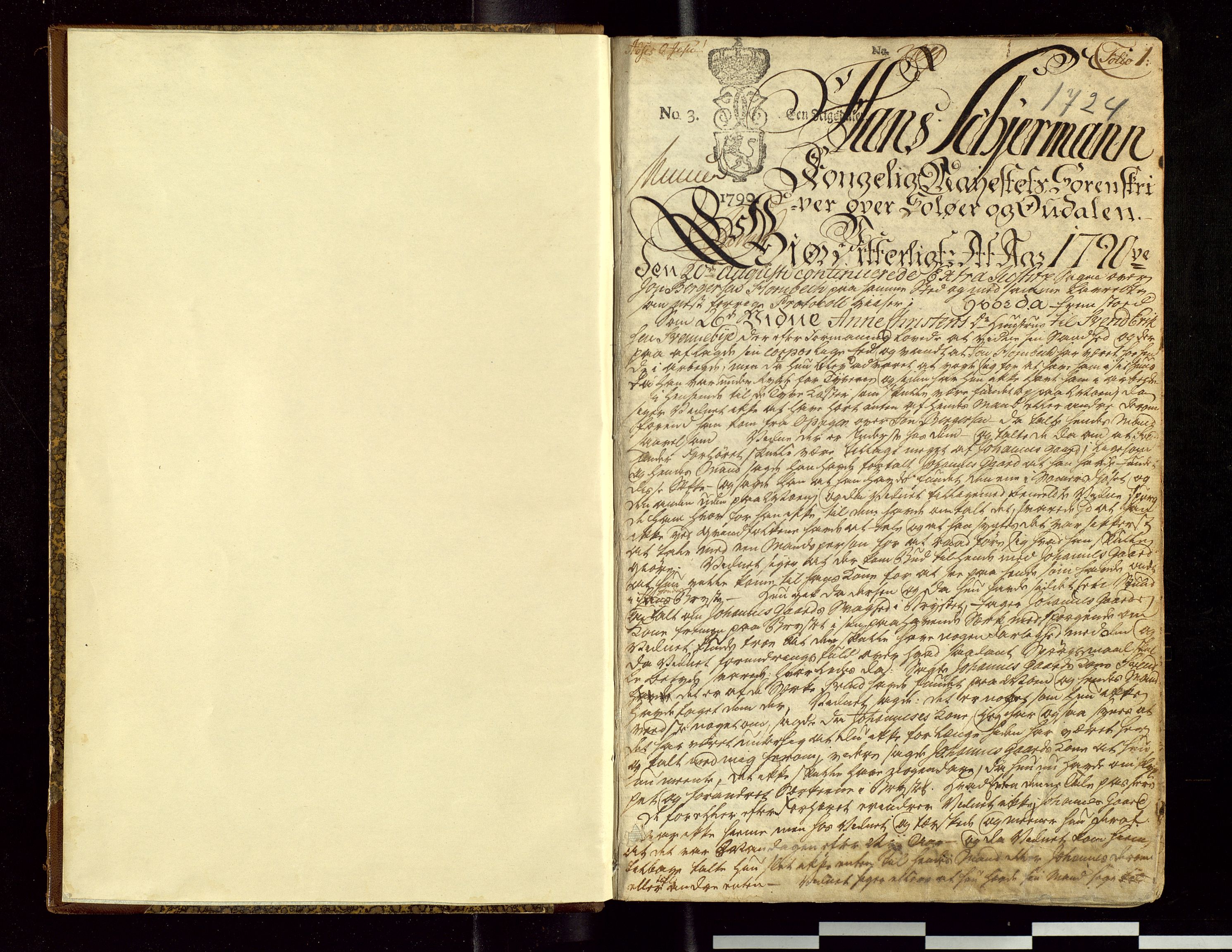 Solør og Odalen sorenskriveri, SAH/TING-026/G/Gc/Gca/L0005: Justis- og politisaker, 1790-1792, p. 1