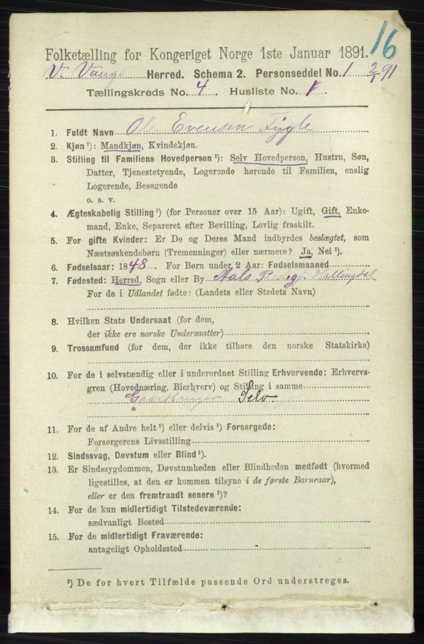 RA, 1891 census for 0545 Vang, 1891, p. 894