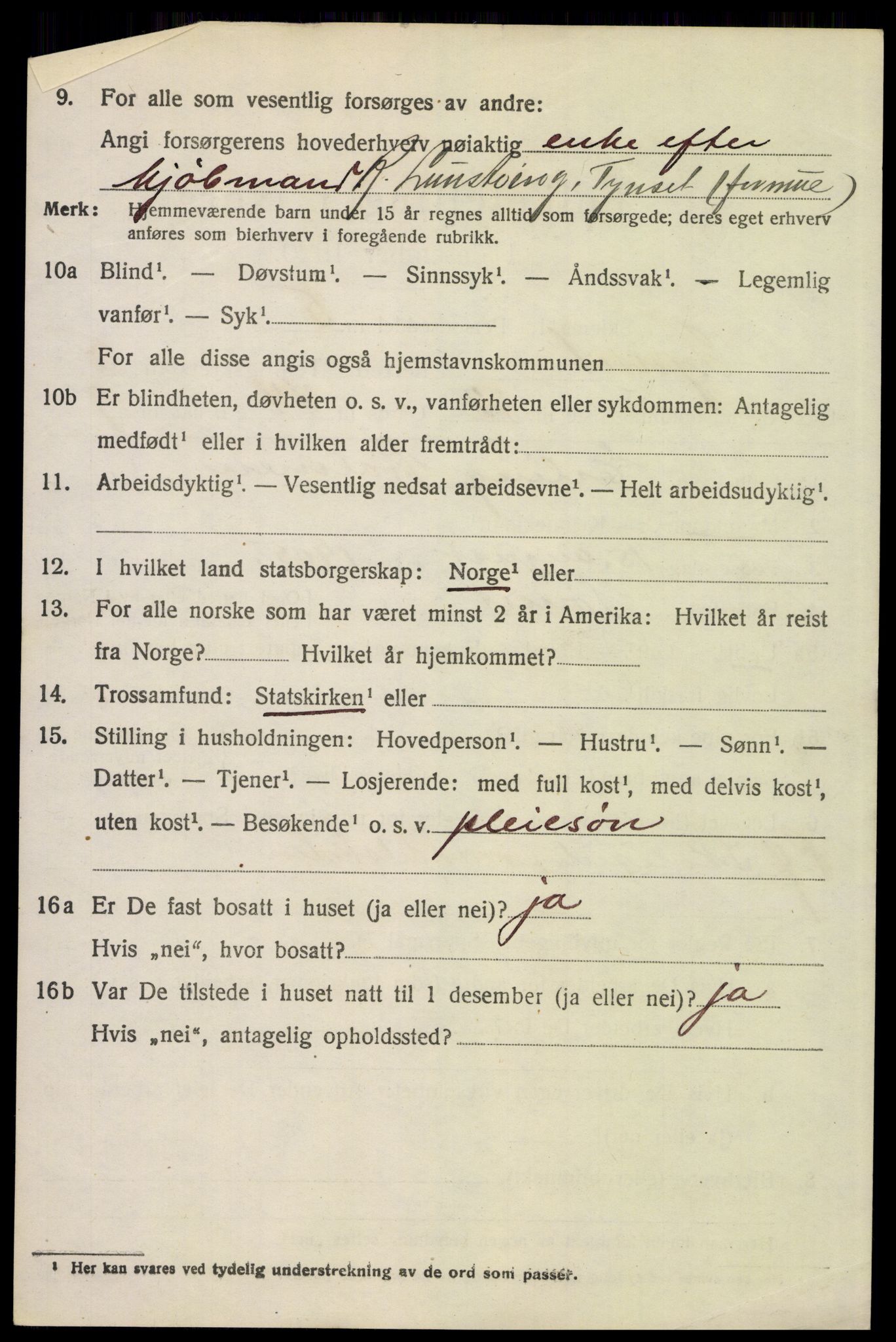 SAH, 1920 census for Tynset, 1920, p. 5489