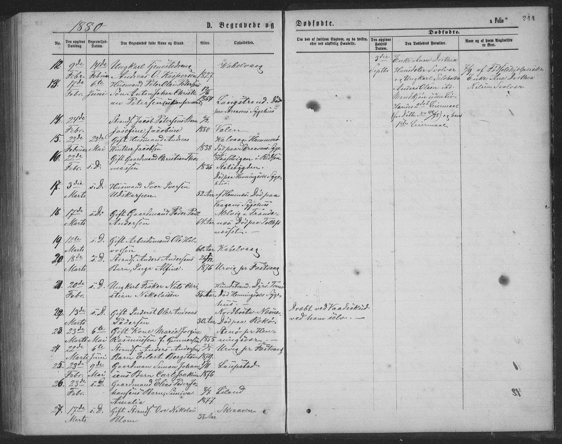 Ministerialprotokoller, klokkerbøker og fødselsregistre - Nordland, AV/SAT-A-1459/874/L1075: Parish register (copy) no. 874C04, 1876-1883, p. 244