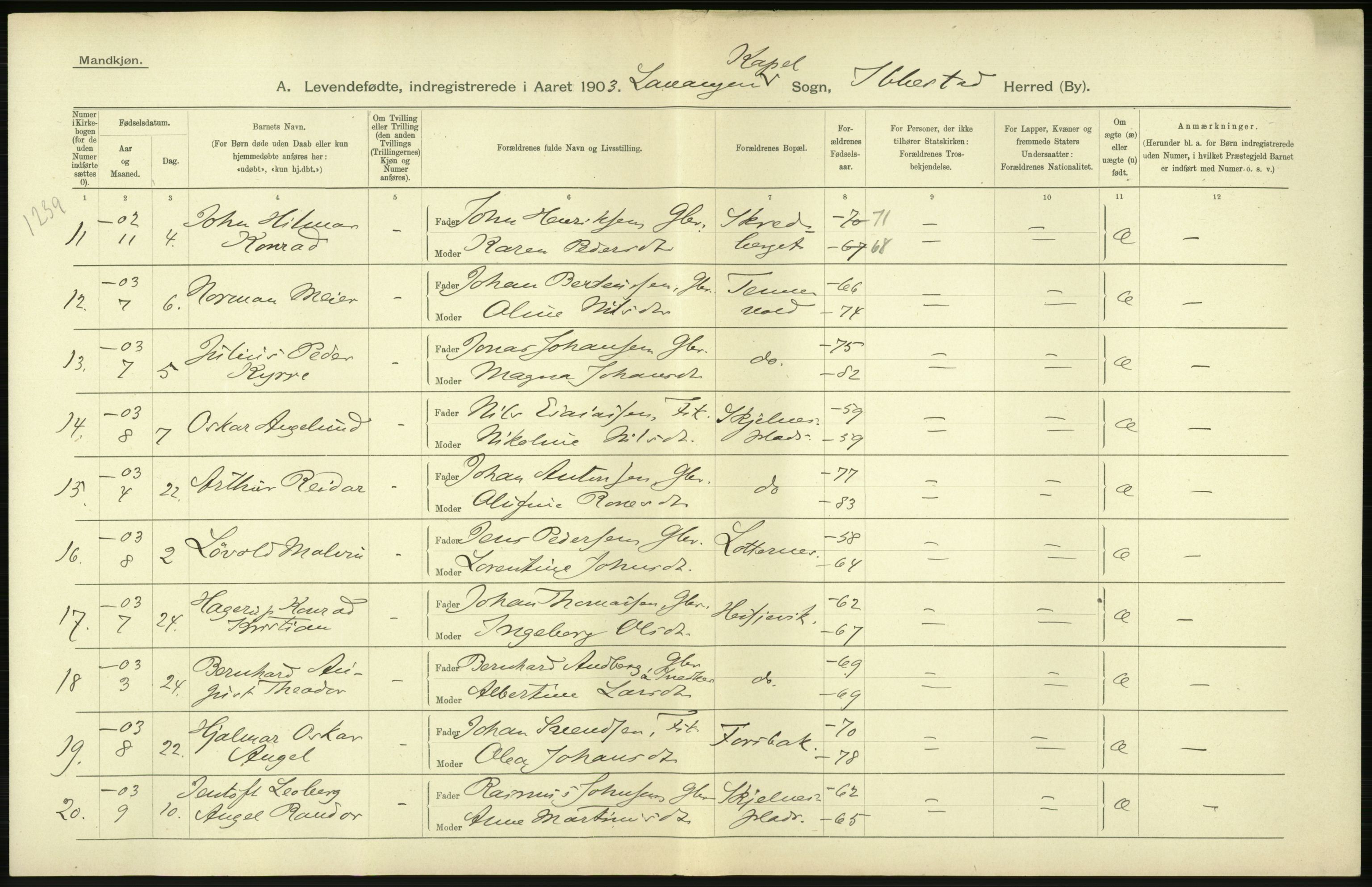 Statistisk sentralbyrå, Sosiodemografiske emner, Befolkning, AV/RA-S-2228/D/Df/Dfa/Dfaa/L0021: Tromsø amt: Fødte, gifte, døde., 1903, p. 34