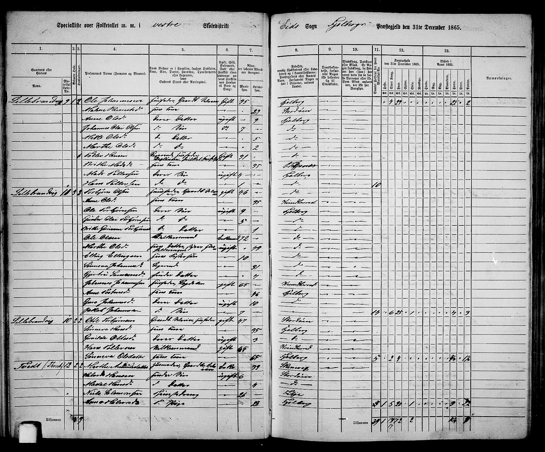 RA, 1865 census for Fjelberg, 1865, p. 22