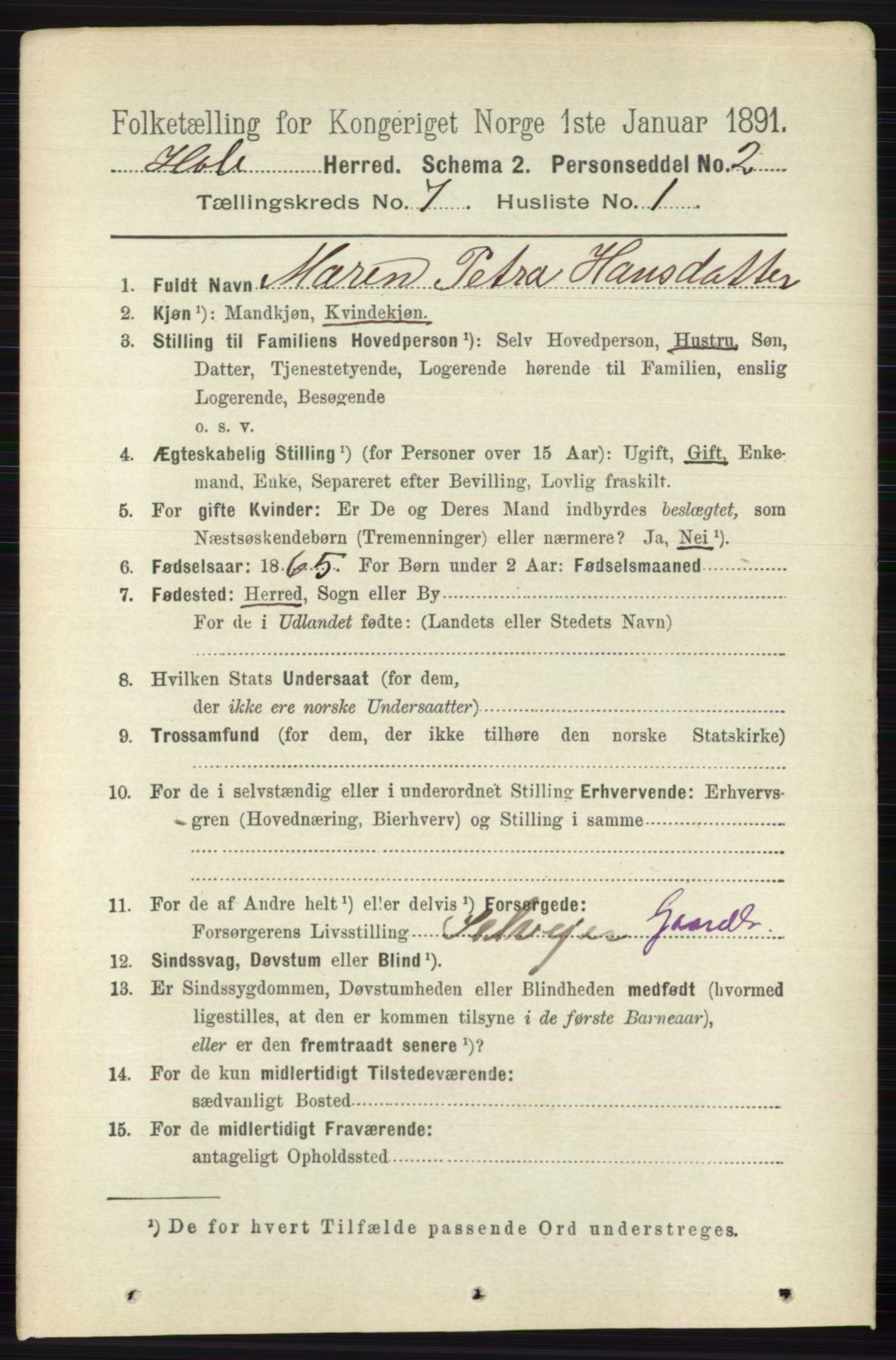 RA, 1891 census for 0612 Hole, 1891, p. 3985