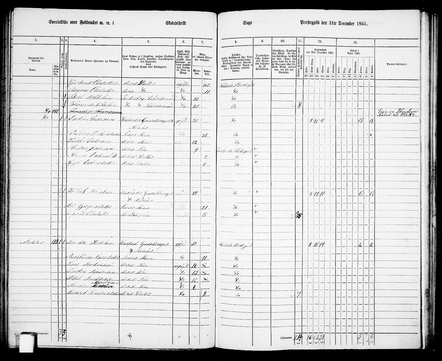 RA, 1865 census for Suldal, 1865, p. 89