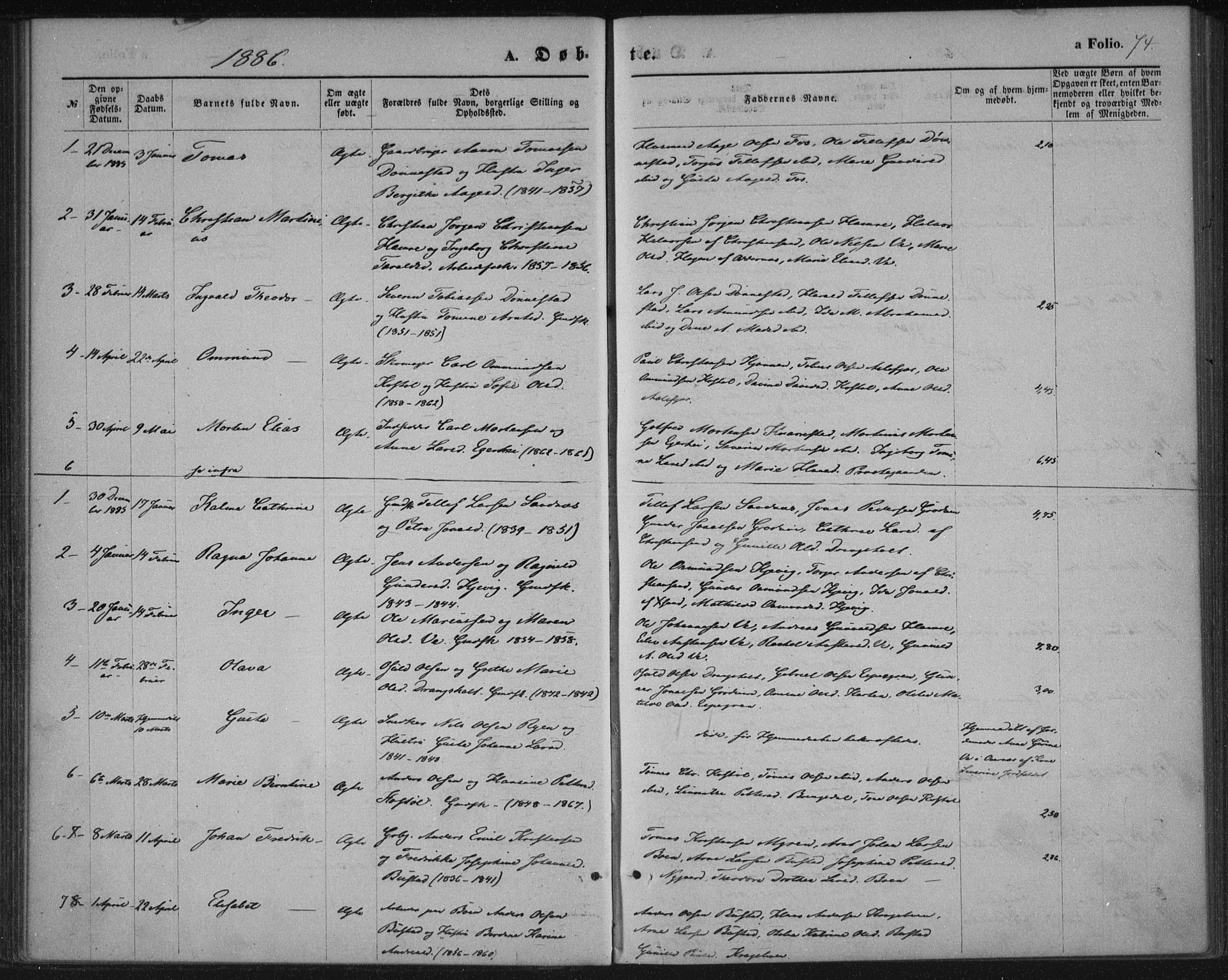 Tveit sokneprestkontor, SAK/1111-0043/F/Fa/L0006: Parish register (official) no. A 6, 1872-1886, p. 74