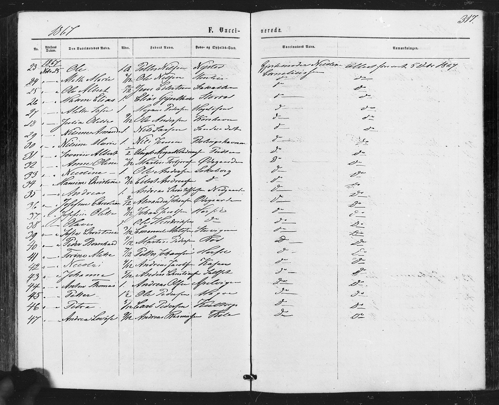 Hvaler prestekontor Kirkebøker, AV/SAO-A-2001/F/Fa/L0007: Parish register (official) no. I 7, 1864-1878, p. 317