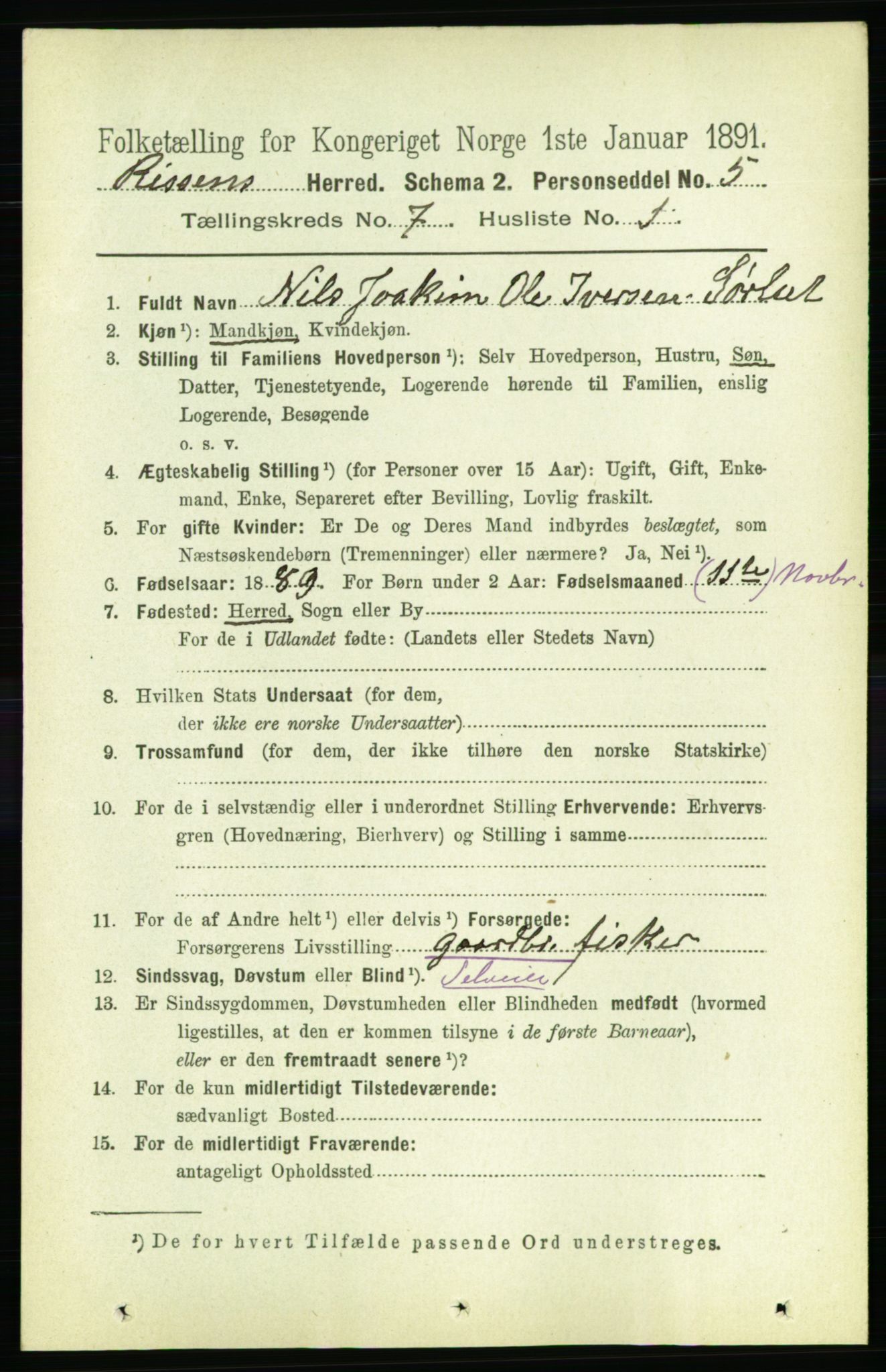 RA, 1891 census for 1624 Rissa, 1891, p. 3993