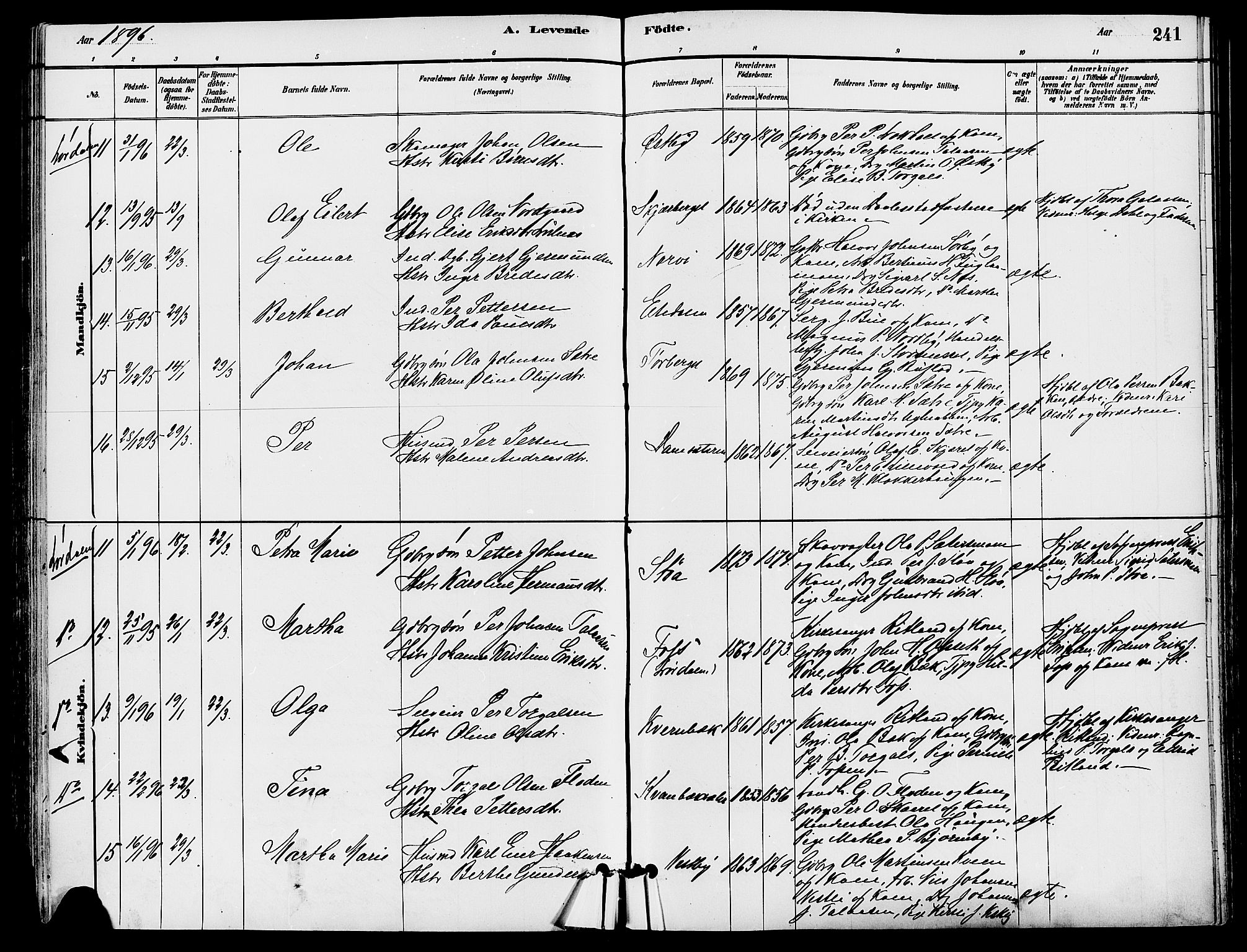 Trysil prestekontor, SAH/PREST-046/H/Ha/Haa/L0008: Parish register (official) no. 8, 1881-1897, p. 241