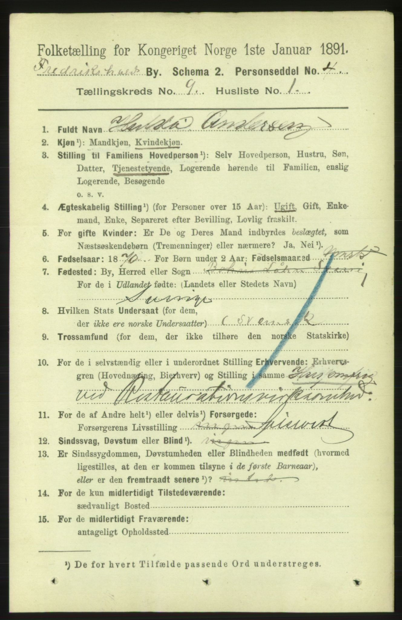 RA, 1891 census for 0101 Fredrikshald, 1891, p. 5913