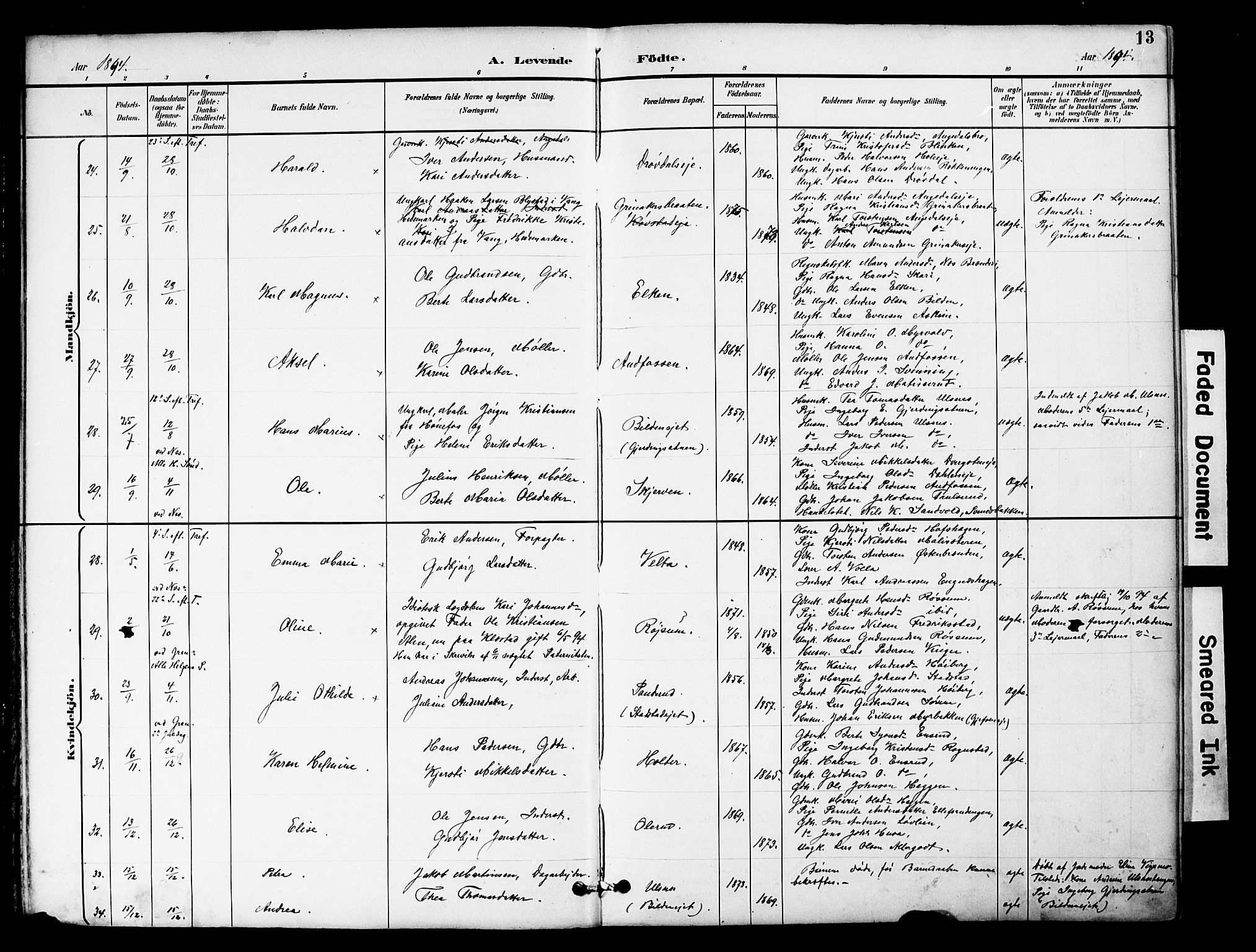 Brandbu prestekontor, SAH/PREST-114/H/Ha/Hab/L0006: Parish register (copy) no. 6, 1893-1902, p. 13