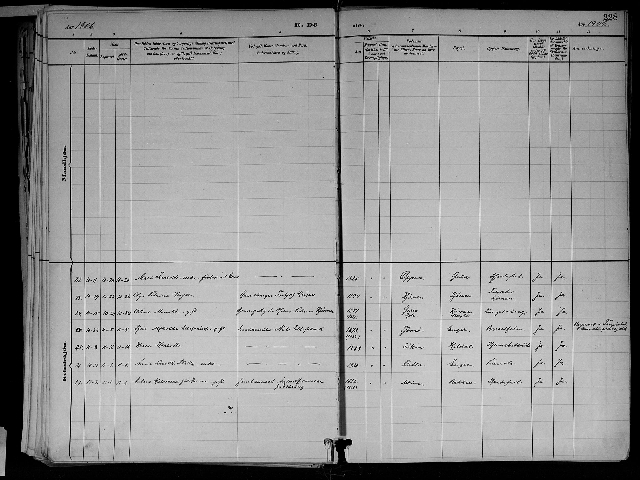 Jevnaker prestekontor, SAH/PREST-116/H/Ha/Haa/L0010: Parish register (official) no. 10, 1891-1906, p. 228