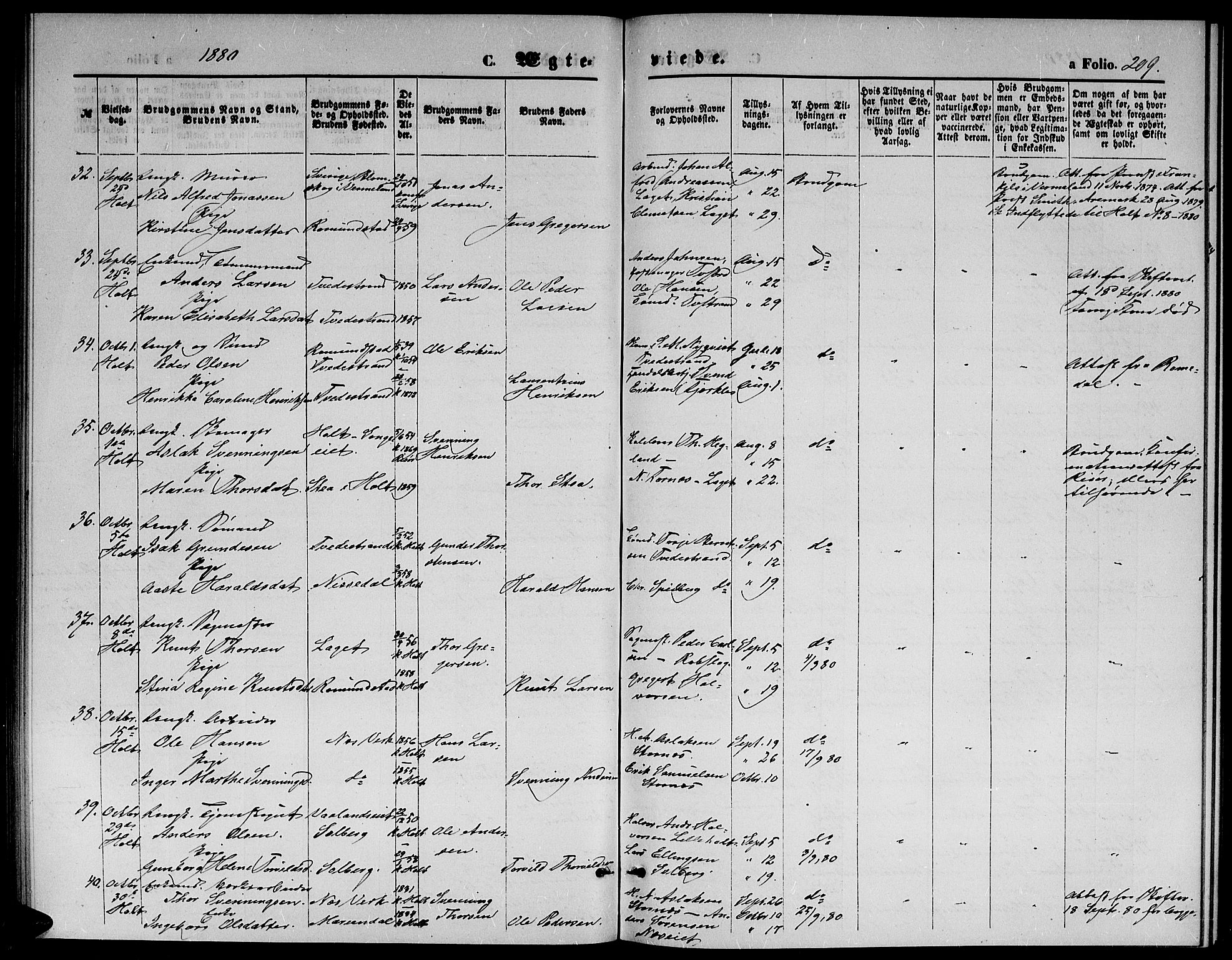 Holt sokneprestkontor, AV/SAK-1111-0021/F/Fb/L0009: Parish register (copy) no. B 9, 1871-1883, p. 209