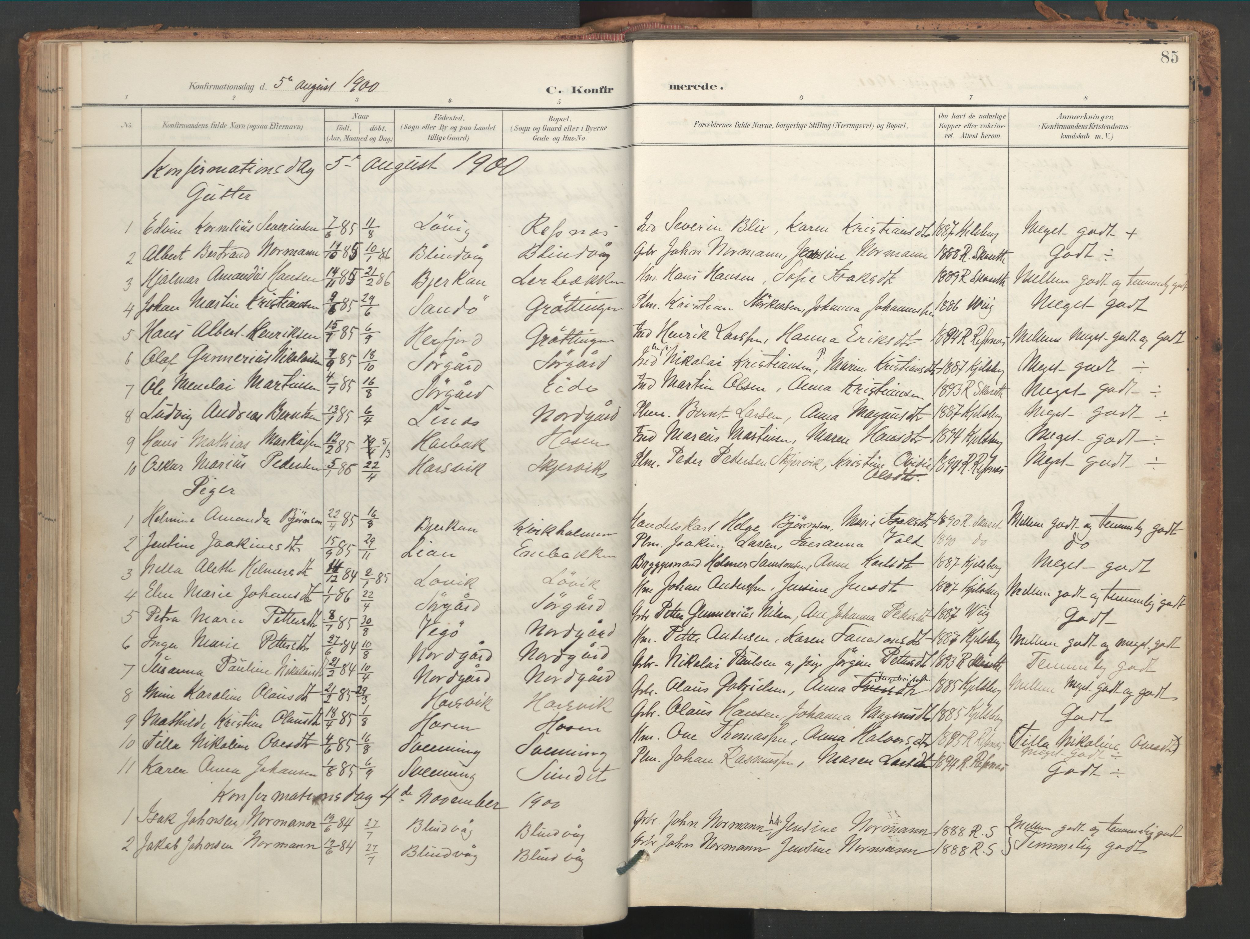 Ministerialprotokoller, klokkerbøker og fødselsregistre - Sør-Trøndelag, SAT/A-1456/656/L0693: Parish register (official) no. 656A02, 1894-1913, p. 85