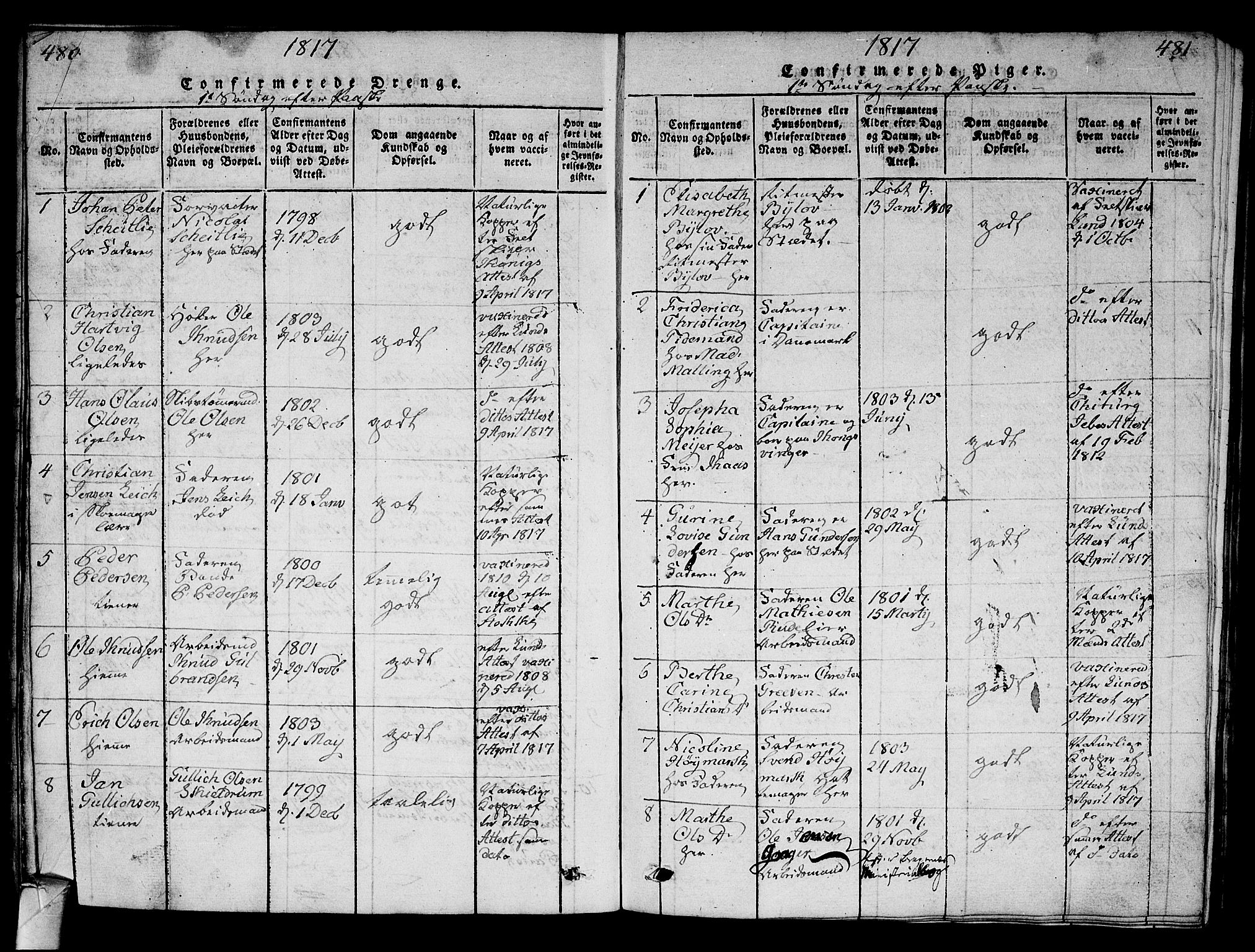 Strømsø kirkebøker, SAKO/A-246/G/Ga/L0001: Parish register (copy) no. 1, 1815-1829, p. 480-481