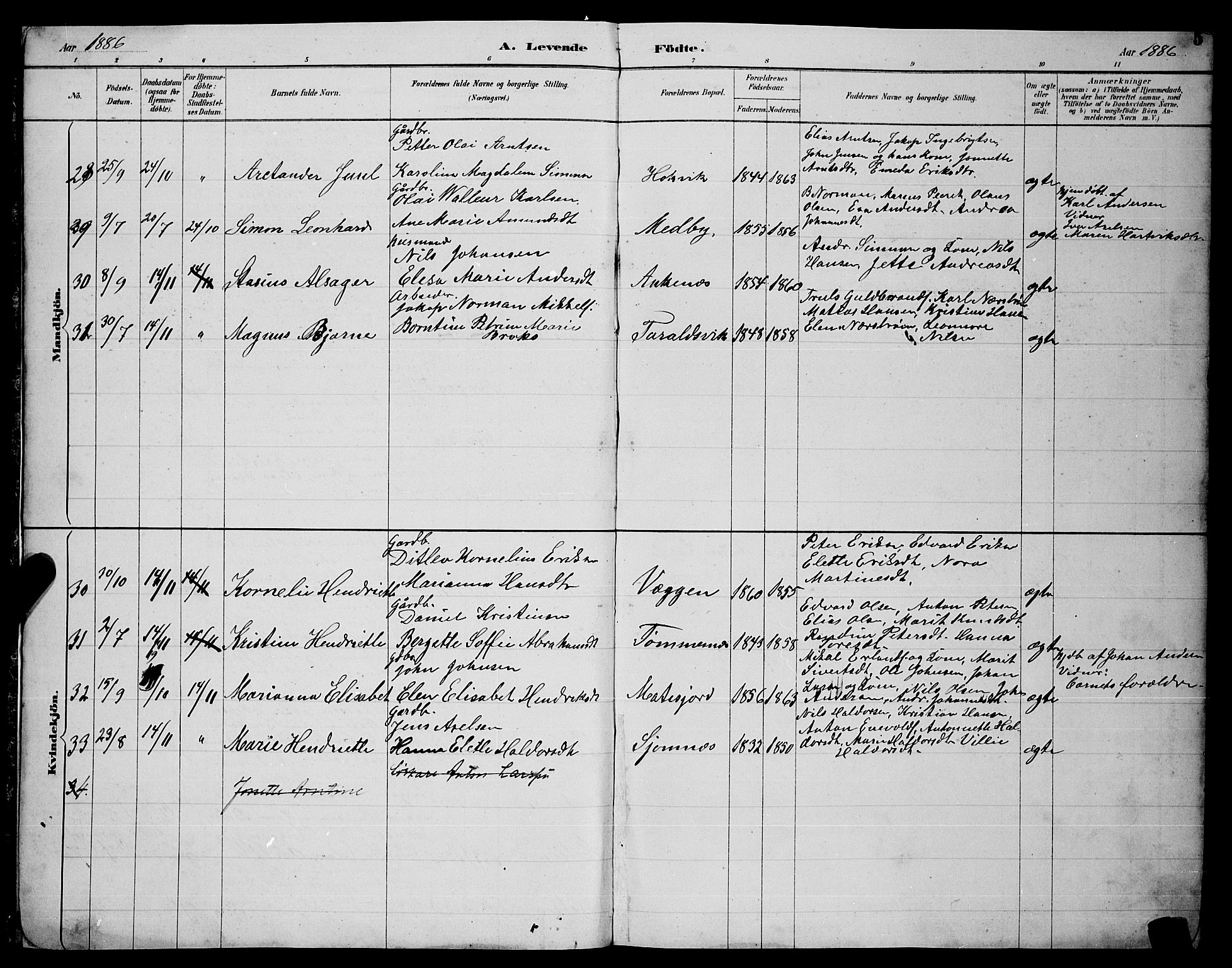 Ministerialprotokoller, klokkerbøker og fødselsregistre - Nordland, AV/SAT-A-1459/866/L0952: Parish register (copy) no. 866C01, 1886-1899, p. 5