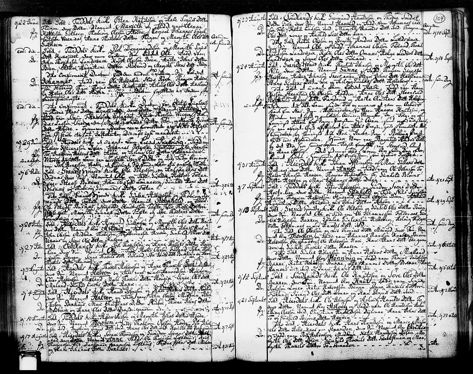 Hjartdal kirkebøker, SAKO/A-270/F/Fa/L0003: Parish register (official) no. I 3, 1727-1775, p. 104