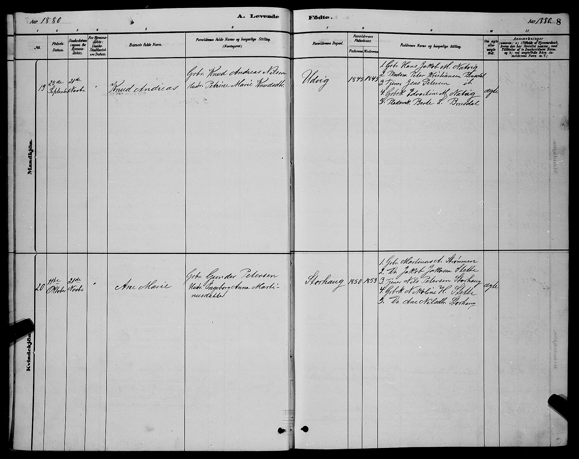 Ministerialprotokoller, klokkerbøker og fødselsregistre - Møre og Romsdal, AV/SAT-A-1454/524/L0365: Parish register (copy) no. 524C06, 1880-1899, p. 8