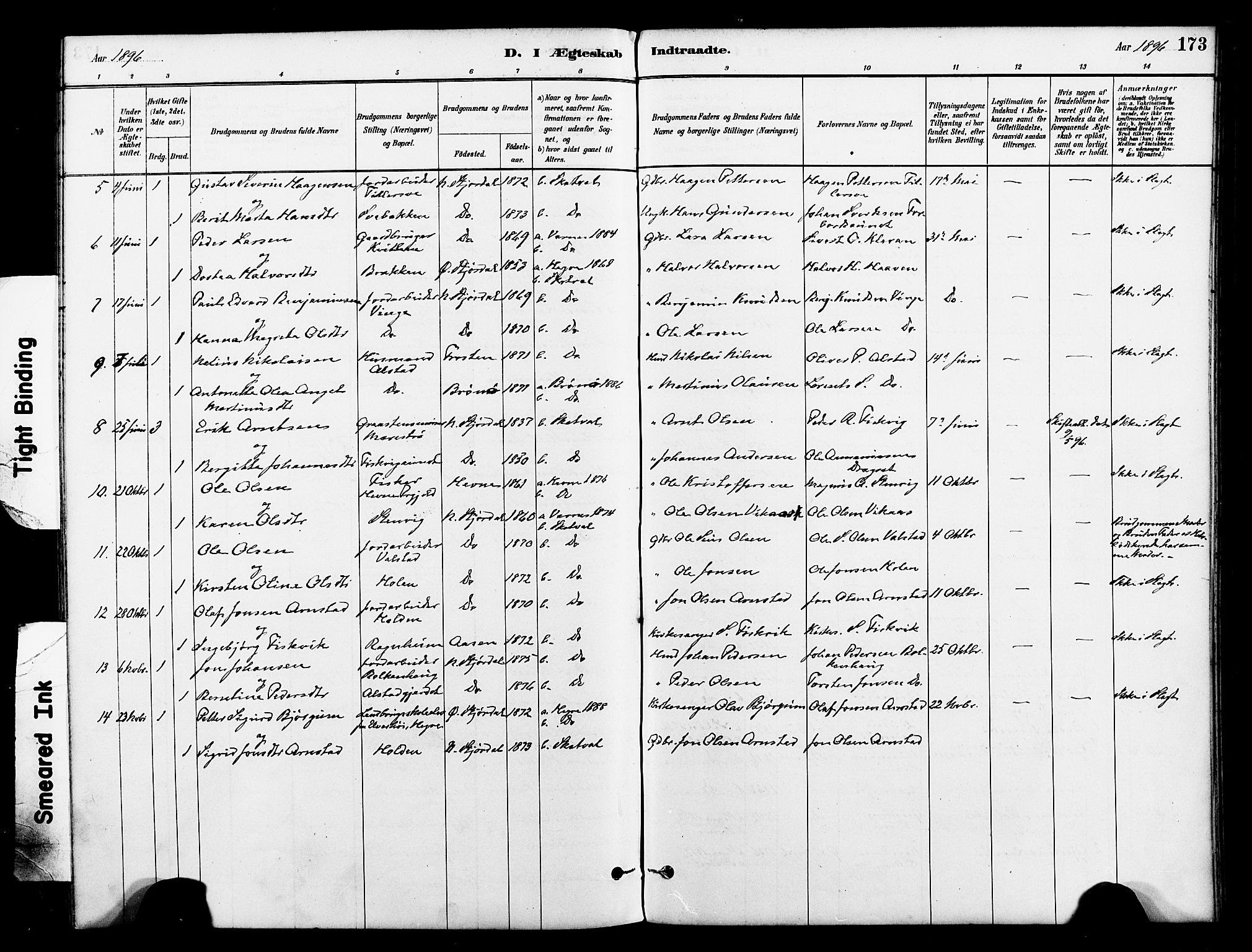 Ministerialprotokoller, klokkerbøker og fødselsregistre - Nord-Trøndelag, SAT/A-1458/712/L0100: Parish register (official) no. 712A01, 1880-1900, p. 173