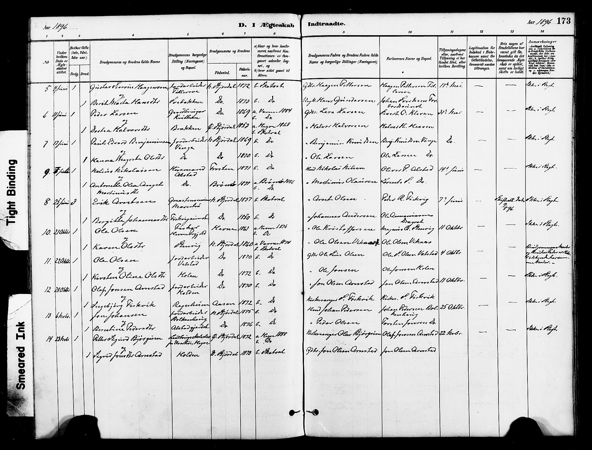 Ministerialprotokoller, klokkerbøker og fødselsregistre - Nord-Trøndelag, AV/SAT-A-1458/712/L0100: Parish register (official) no. 712A01, 1880-1900, p. 173