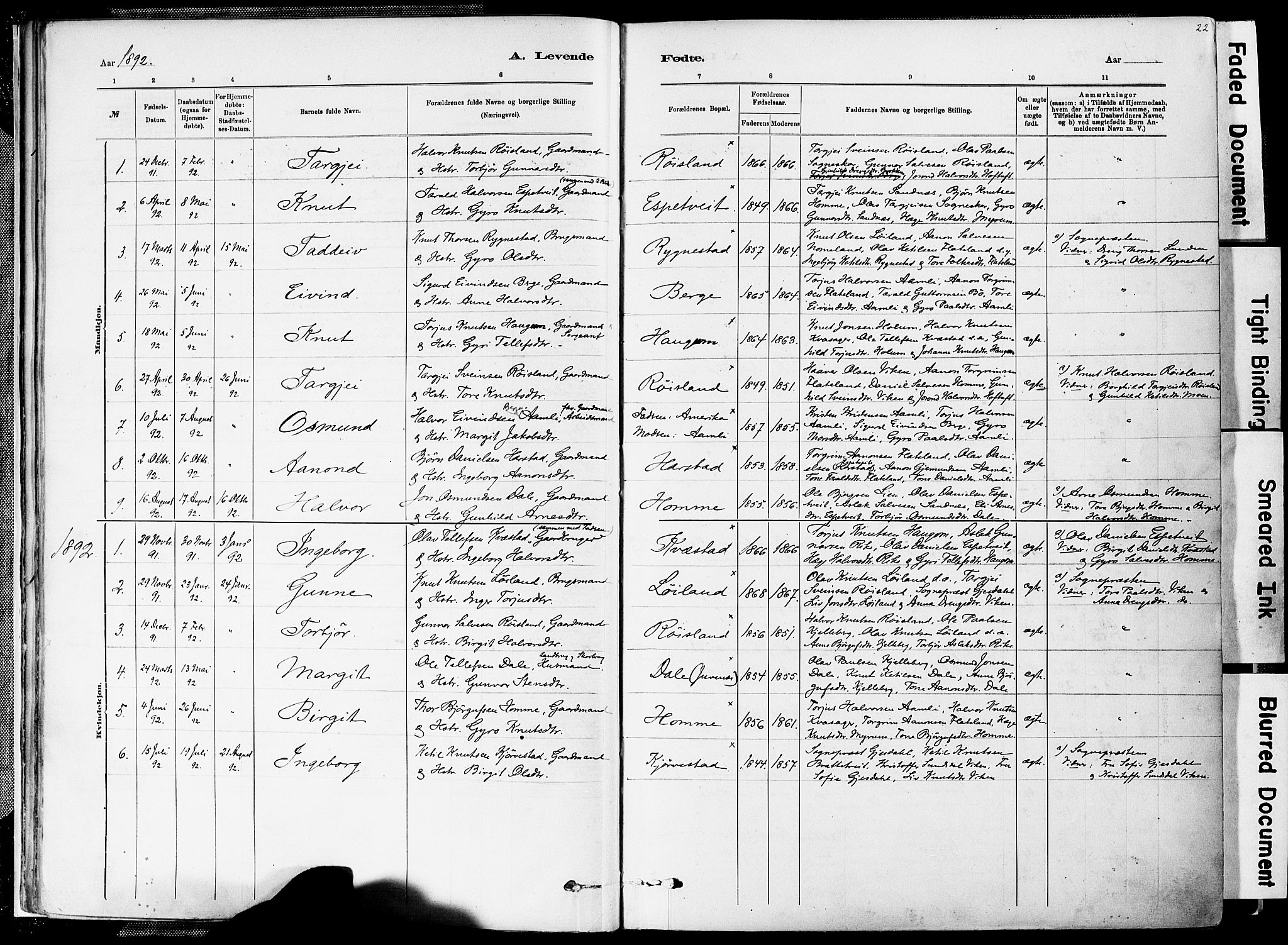 Valle sokneprestkontor, AV/SAK-1111-0044/F/Fa/Fac/L0009: Parish register (official) no. A 9, 1882-1913, p. 22
