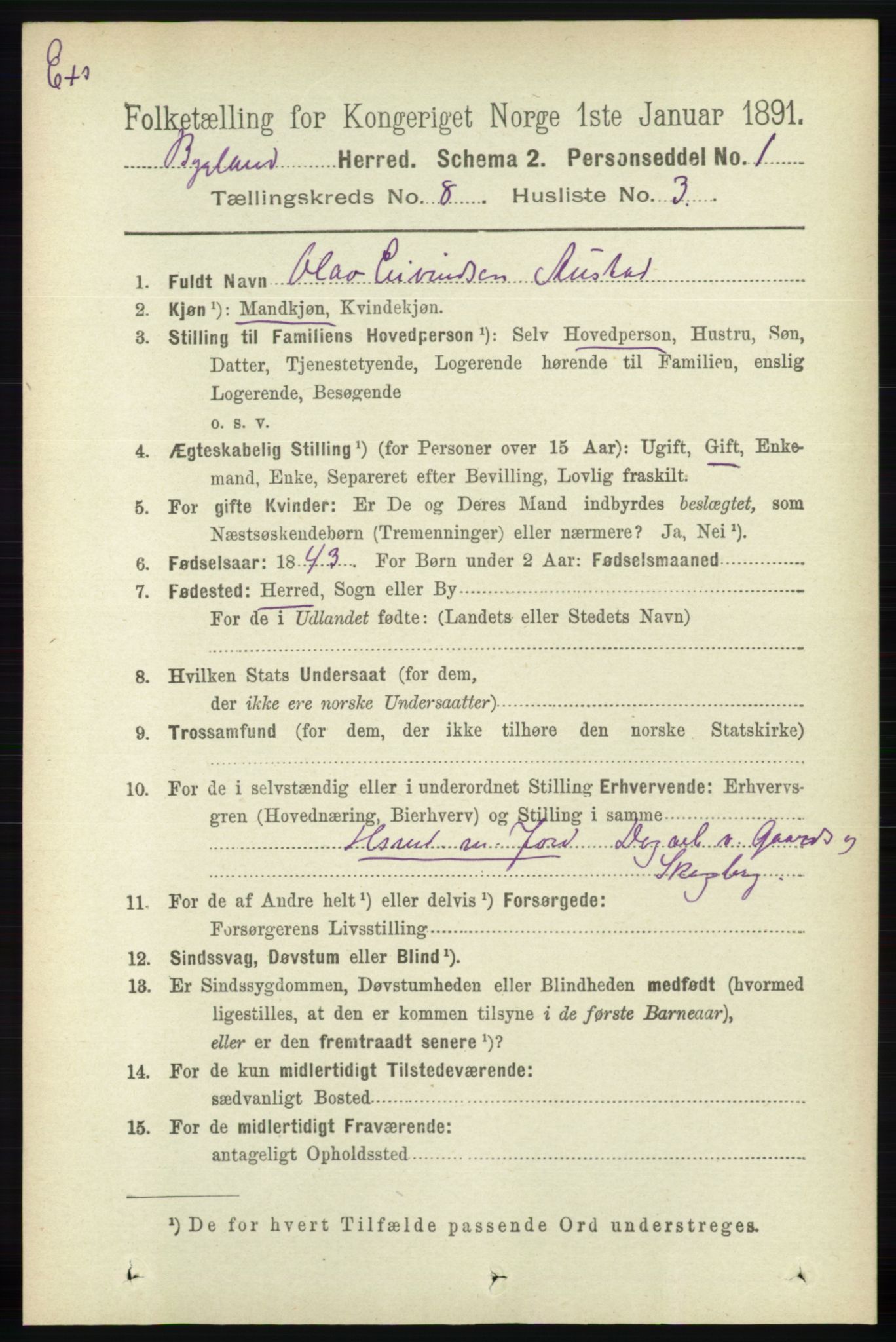 RA, Census 1891 for Nedenes amt: Gjenparter av personsedler for beslektede ektefeller, menn, 1891, p. 1034