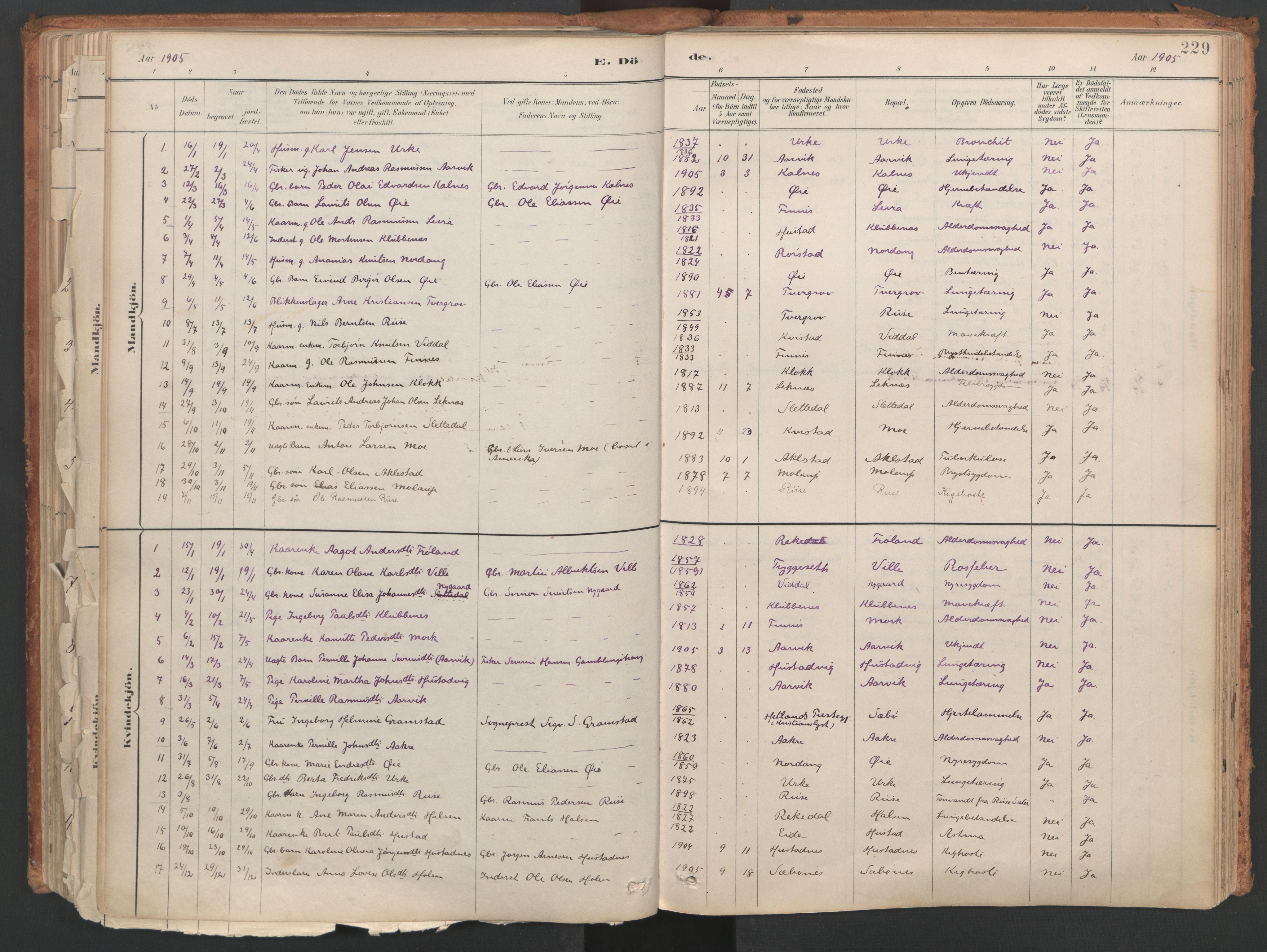 Ministerialprotokoller, klokkerbøker og fødselsregistre - Møre og Romsdal, SAT/A-1454/515/L0211: Parish register (official) no. 515A07, 1886-1910, p. 229