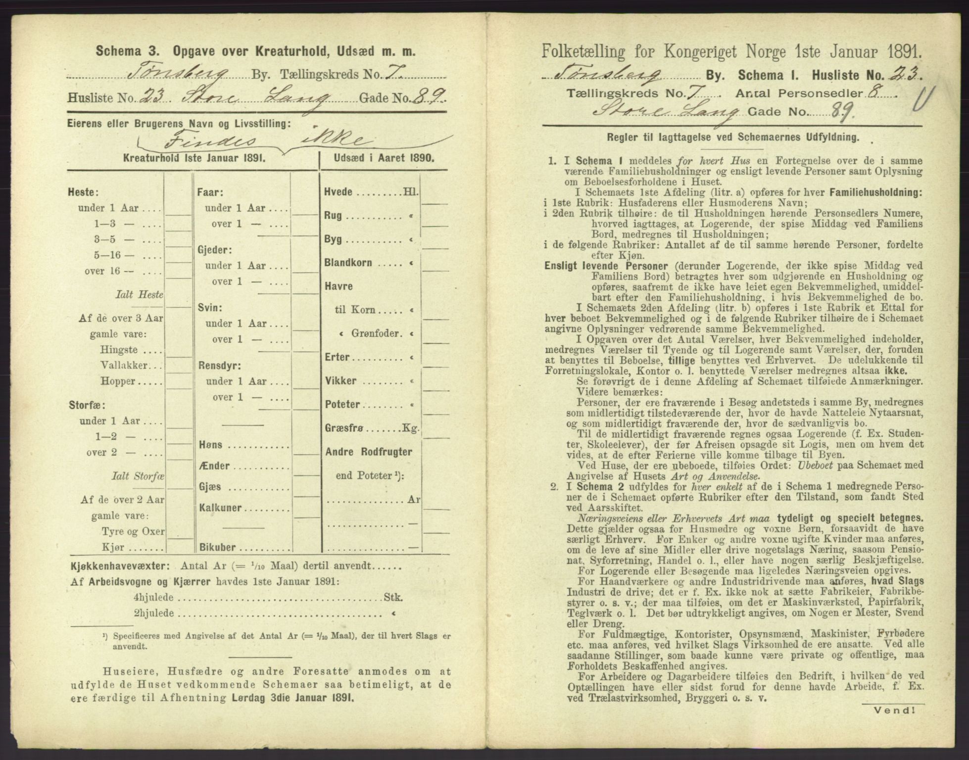 RA, 1891 census for 0705 Tønsberg, 1891, p. 316