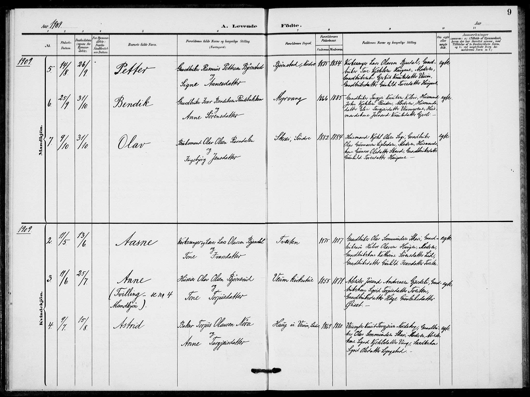Fyresdal kirkebøker, SAKO/A-263/F/Fb/L0004: Parish register (official) no. II 4, 1903-1920, p. 9