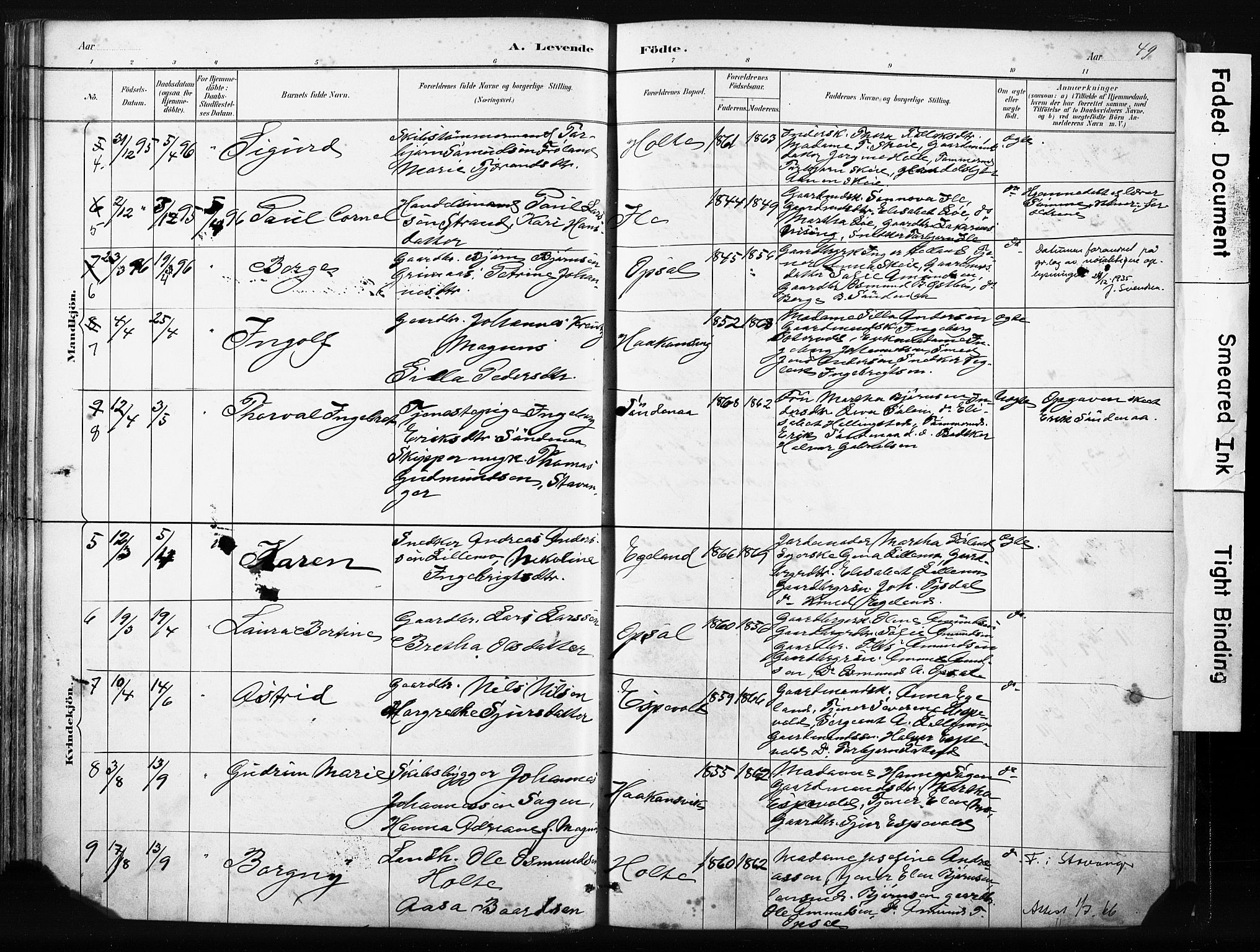 Vikedal sokneprestkontor, AV/SAST-A-101840/01/IV: Parish register (official) no. A 10, 1884-1907, p. 49