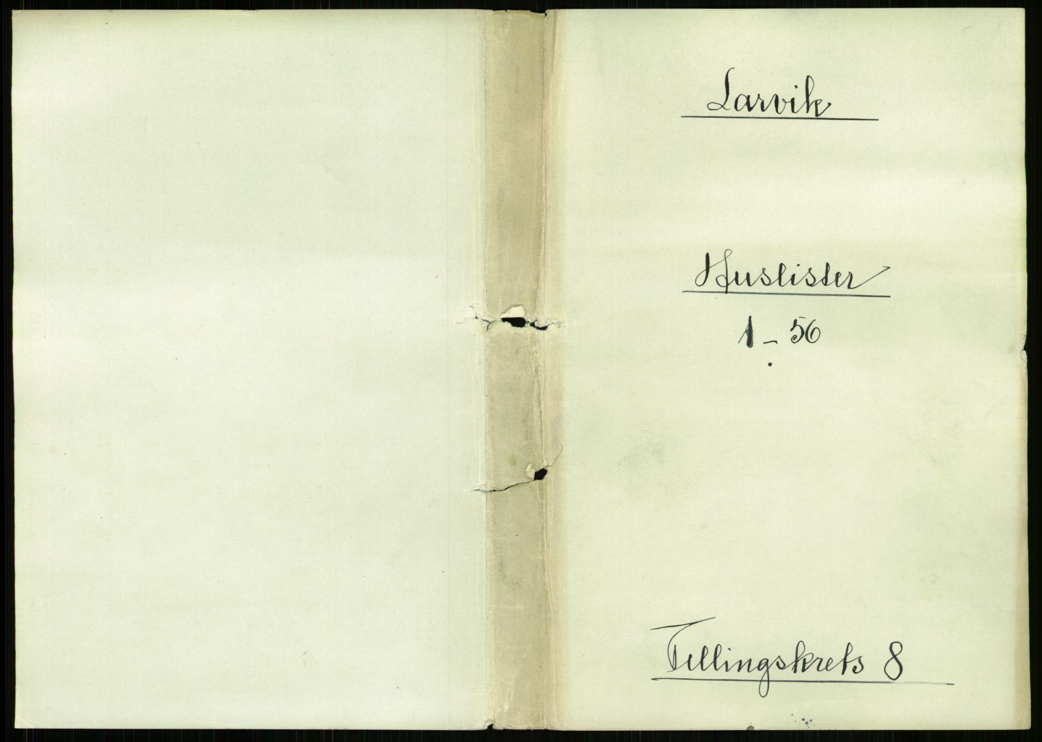 RA, 1891 census for 0707 Larvik, 1891, p. 1005