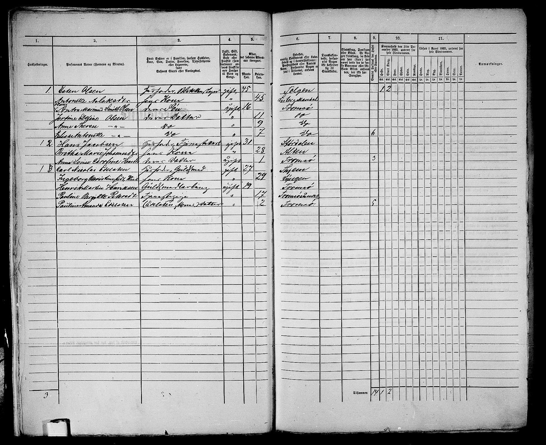 RA, 1865 census for Tromsø, 1865, p. 417