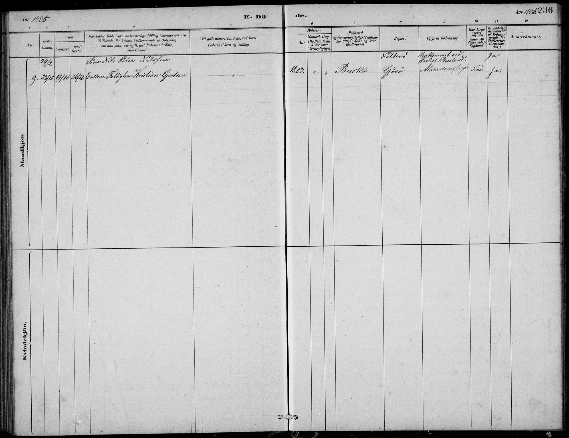 Askvoll sokneprestembete, SAB/A-79501/H/Hab/Habb/L0001: Parish register (copy) no. B 1, 1879-1909, p. 236