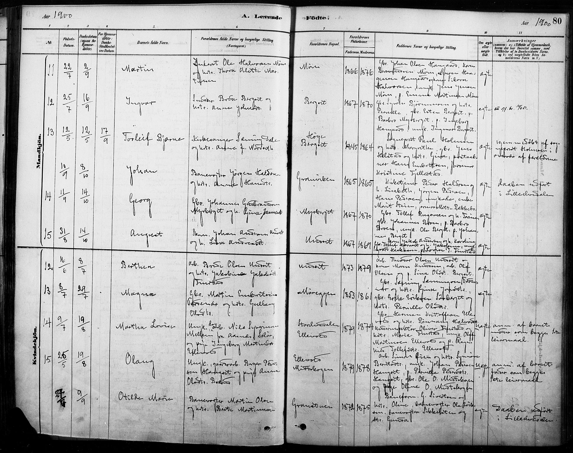 Rendalen prestekontor, AV/SAH-PREST-054/H/Ha/Haa/L0009: Parish register (official) no. 9, 1878-1901, p. 80