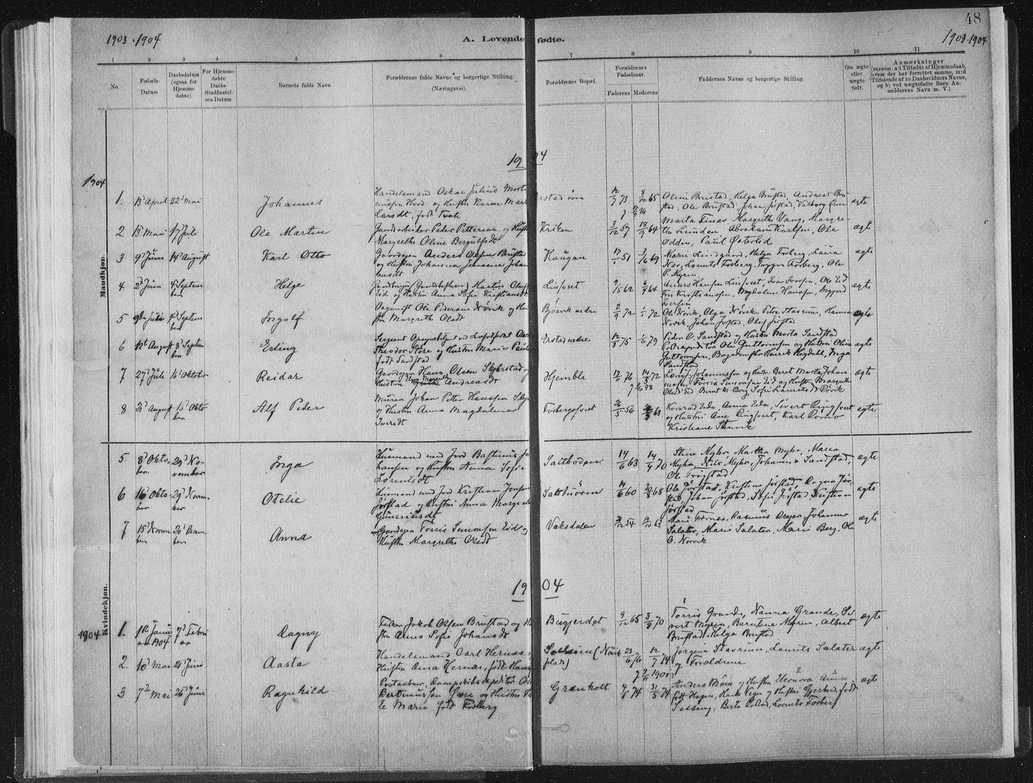 Ministerialprotokoller, klokkerbøker og fødselsregistre - Nord-Trøndelag, SAT/A-1458/722/L0220: Parish register (official) no. 722A07, 1881-1908, p. 48