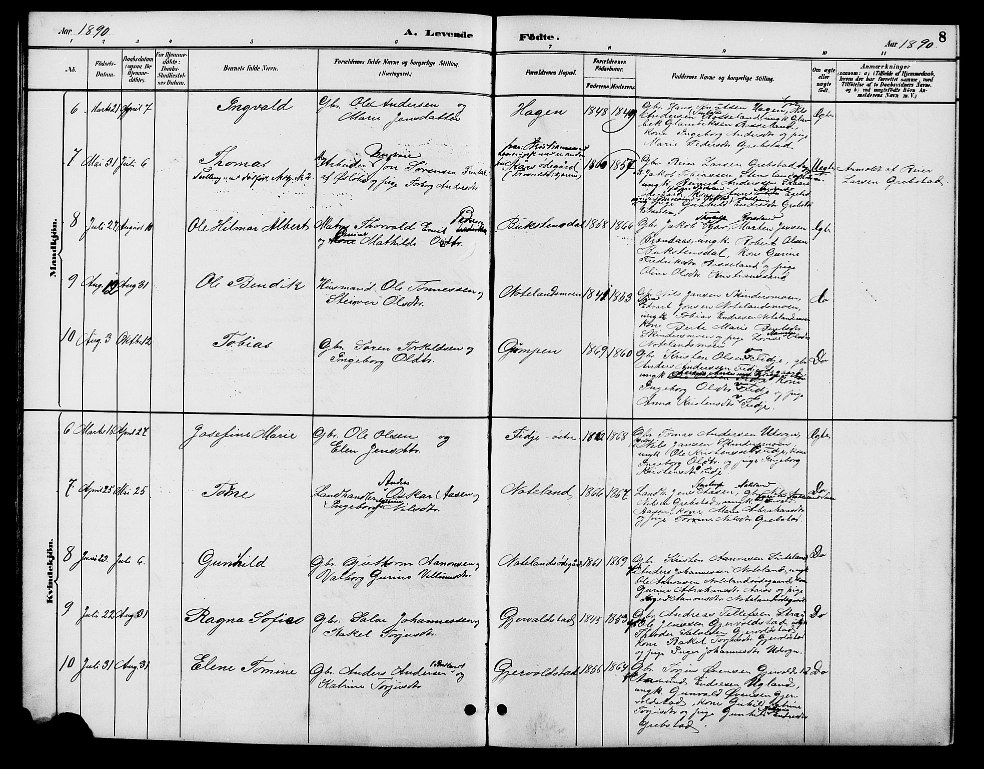 Søgne sokneprestkontor, SAK/1111-0037/F/Fb/Fba/L0004: Parish register (copy) no. B 4, 1888-1903, p. 8