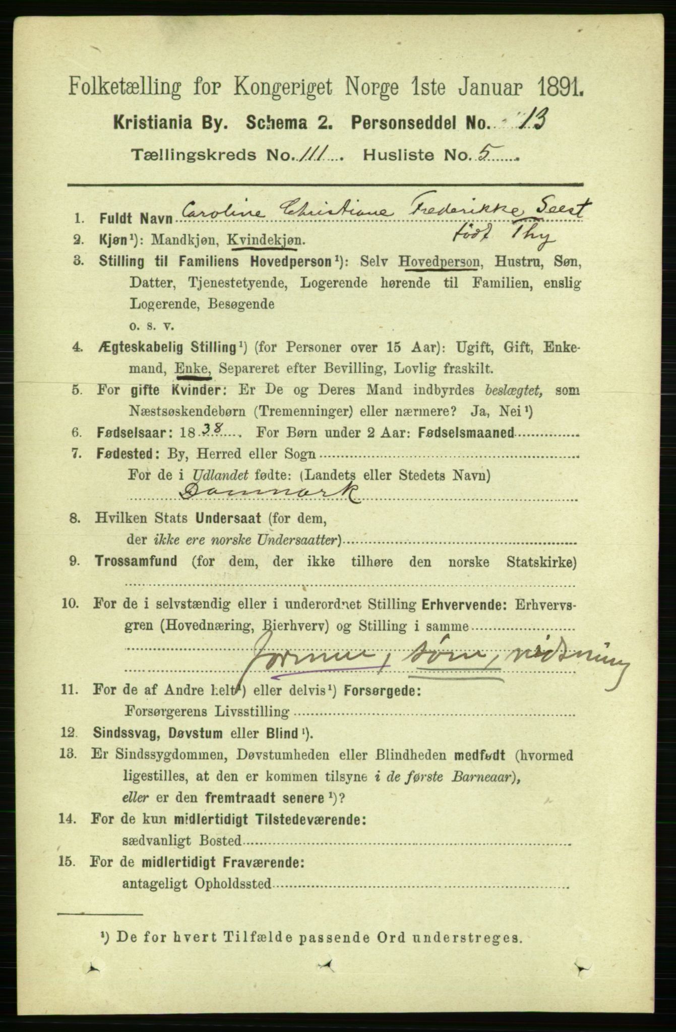 RA, 1891 census for 0301 Kristiania, 1891, p. 58076