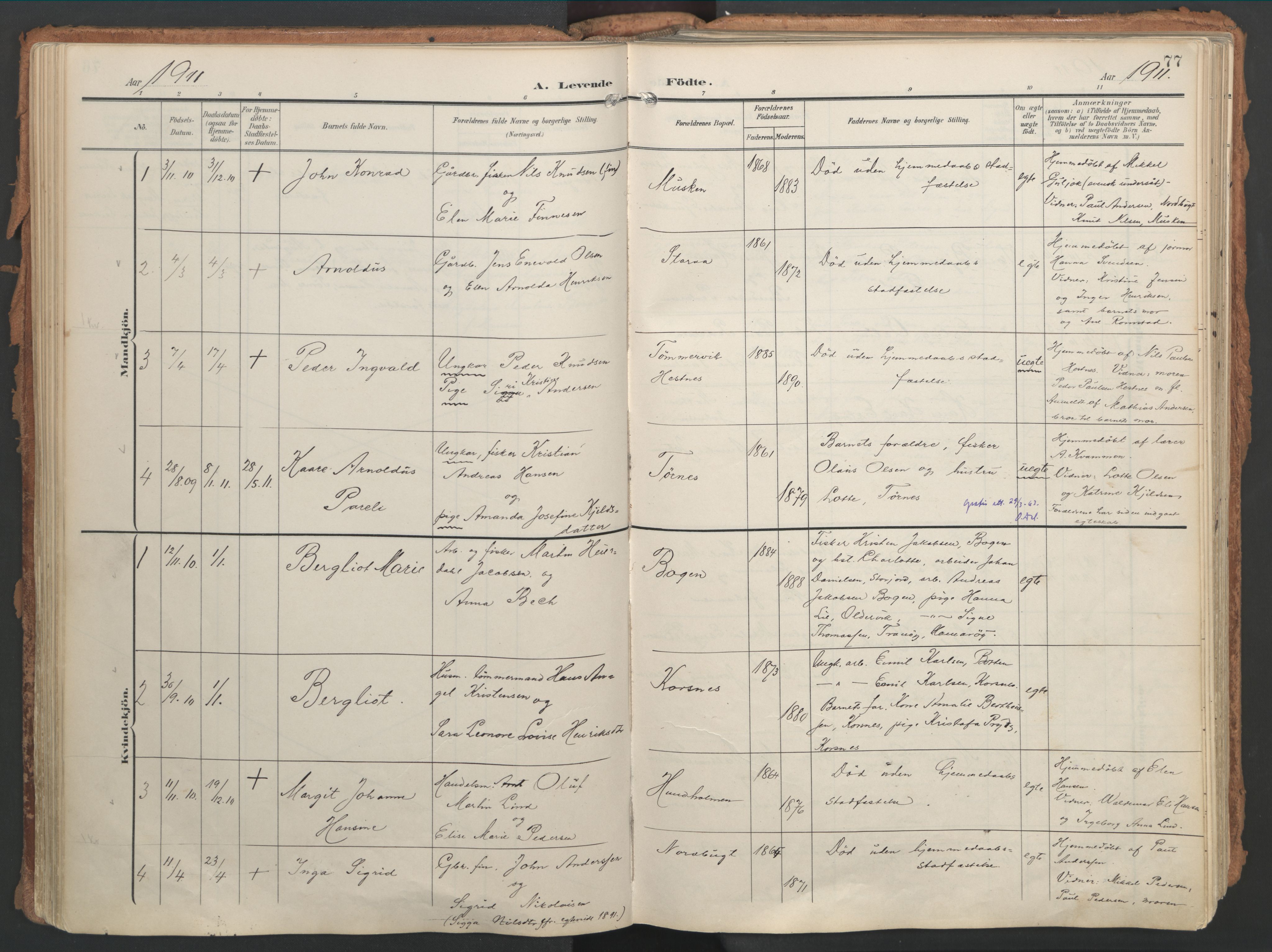 Ministerialprotokoller, klokkerbøker og fødselsregistre - Nordland, SAT/A-1459/861/L0871: Parish register (official) no. 861A06, 1903-1916, p. 77