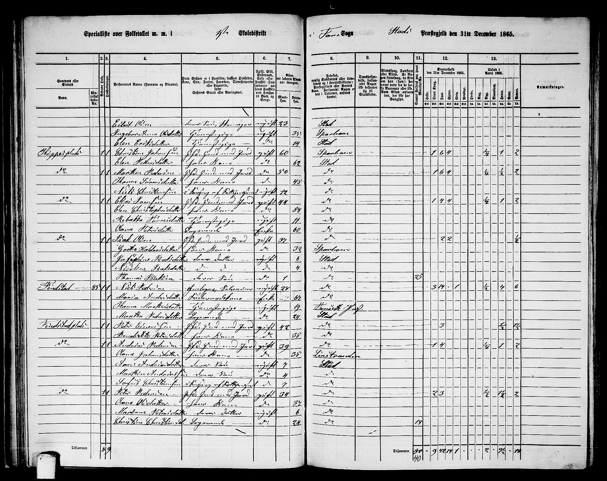 RA, 1865 census for Stod, 1865, p. 61