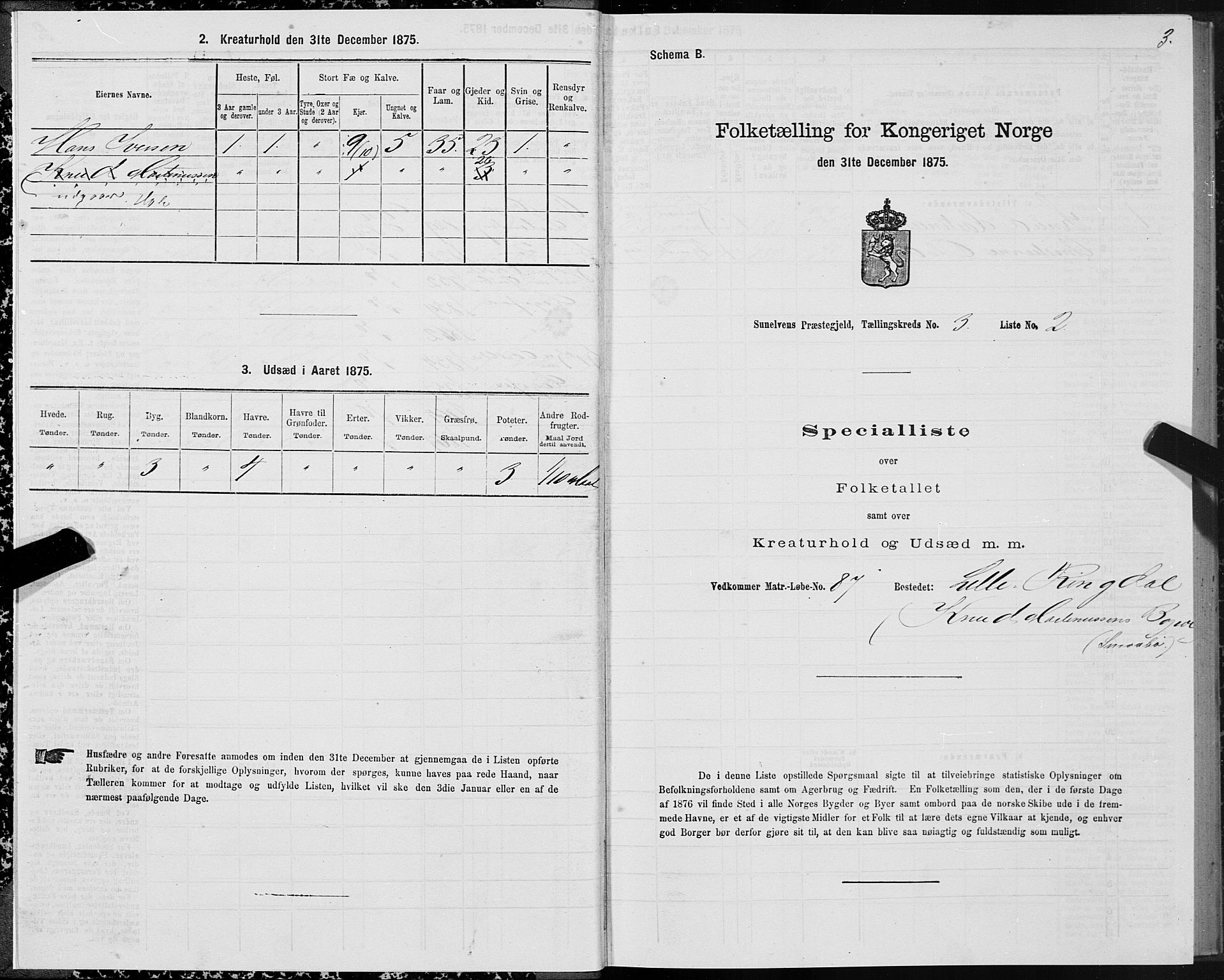 SAT, 1875 census for 1523P Sunnylven, 1875, p. 2003