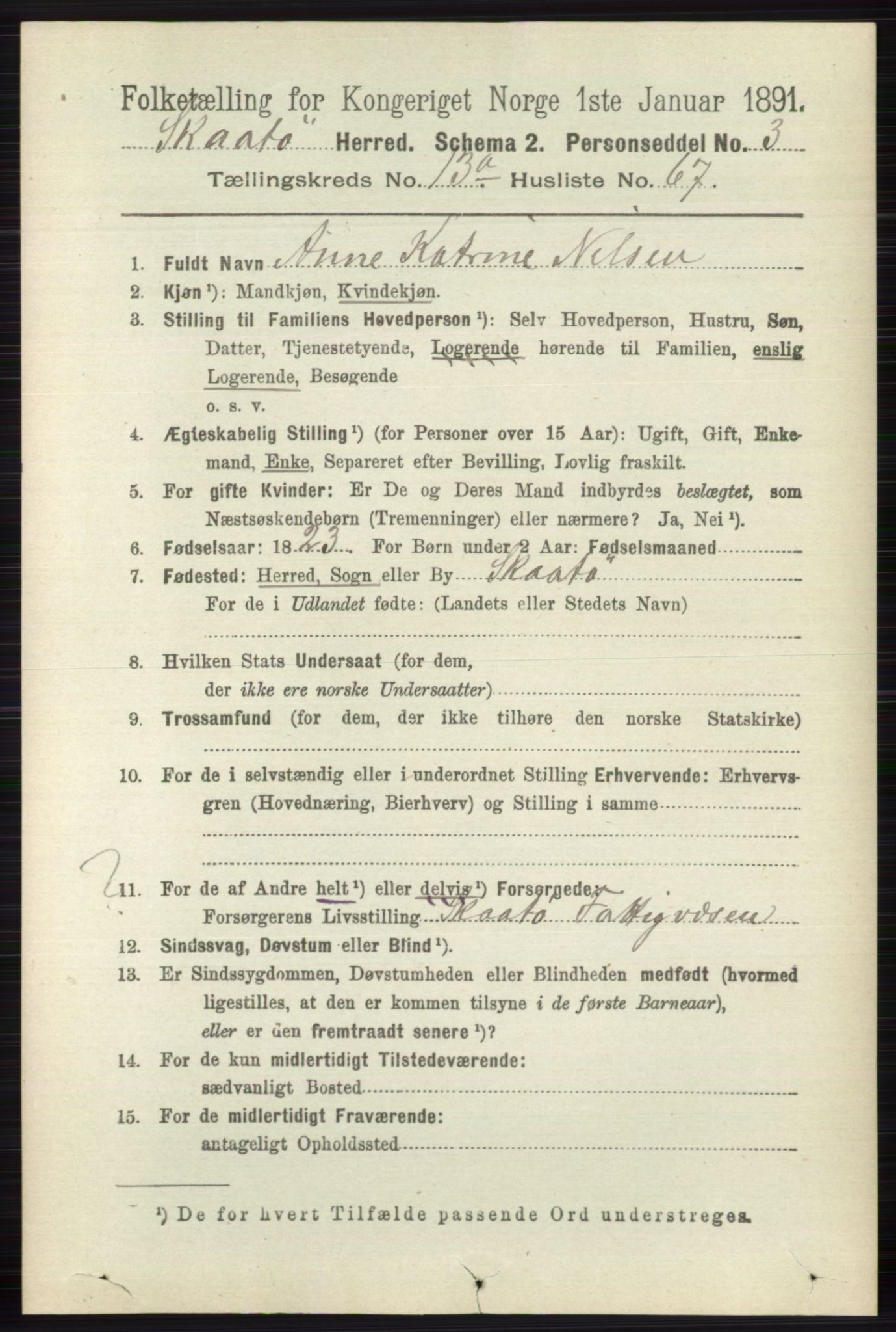 RA, 1891 census for 0815 Skåtøy, 1891, p. 4800